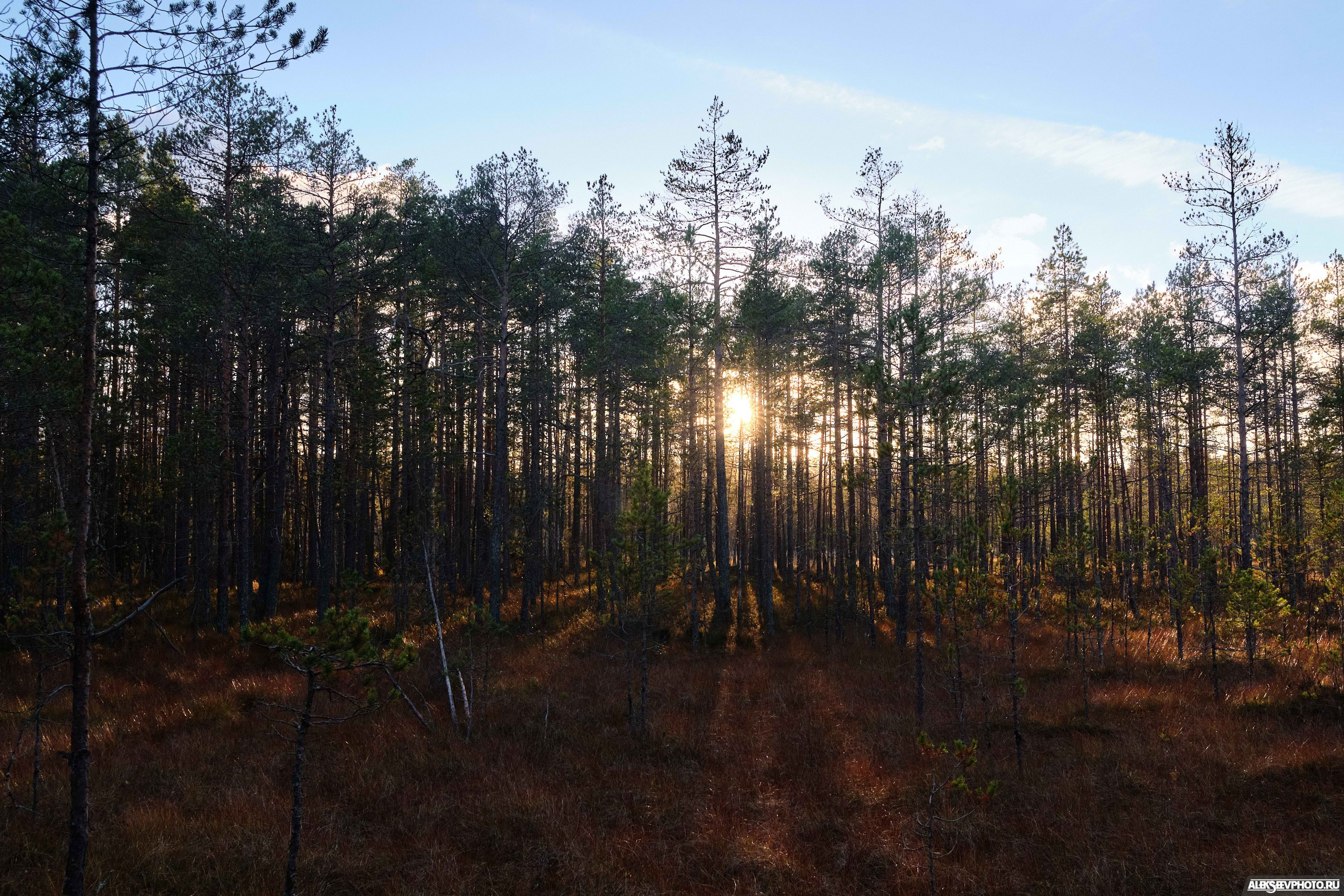 2021.10.17 — Финал чемпионата СЗФО по трофи-рейдам — 1 день. Фотограф Алексей Алексеев