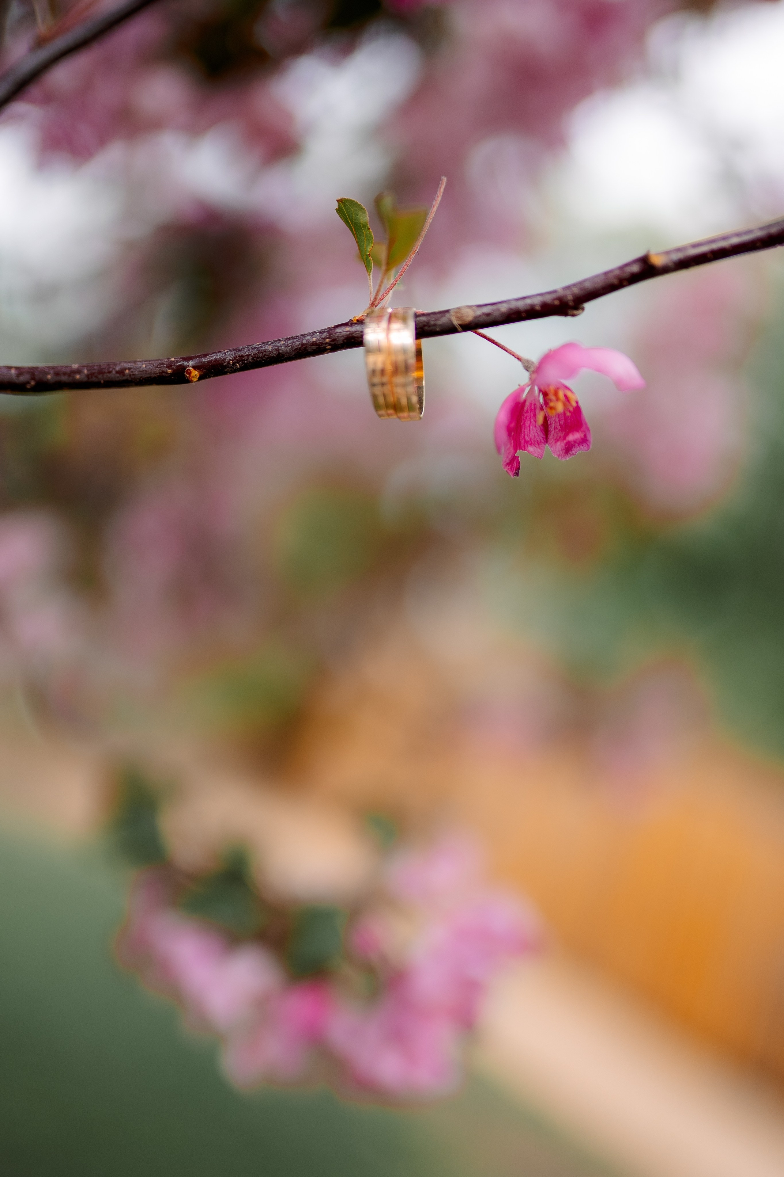 Парк. Фотограф Мария Зайчик