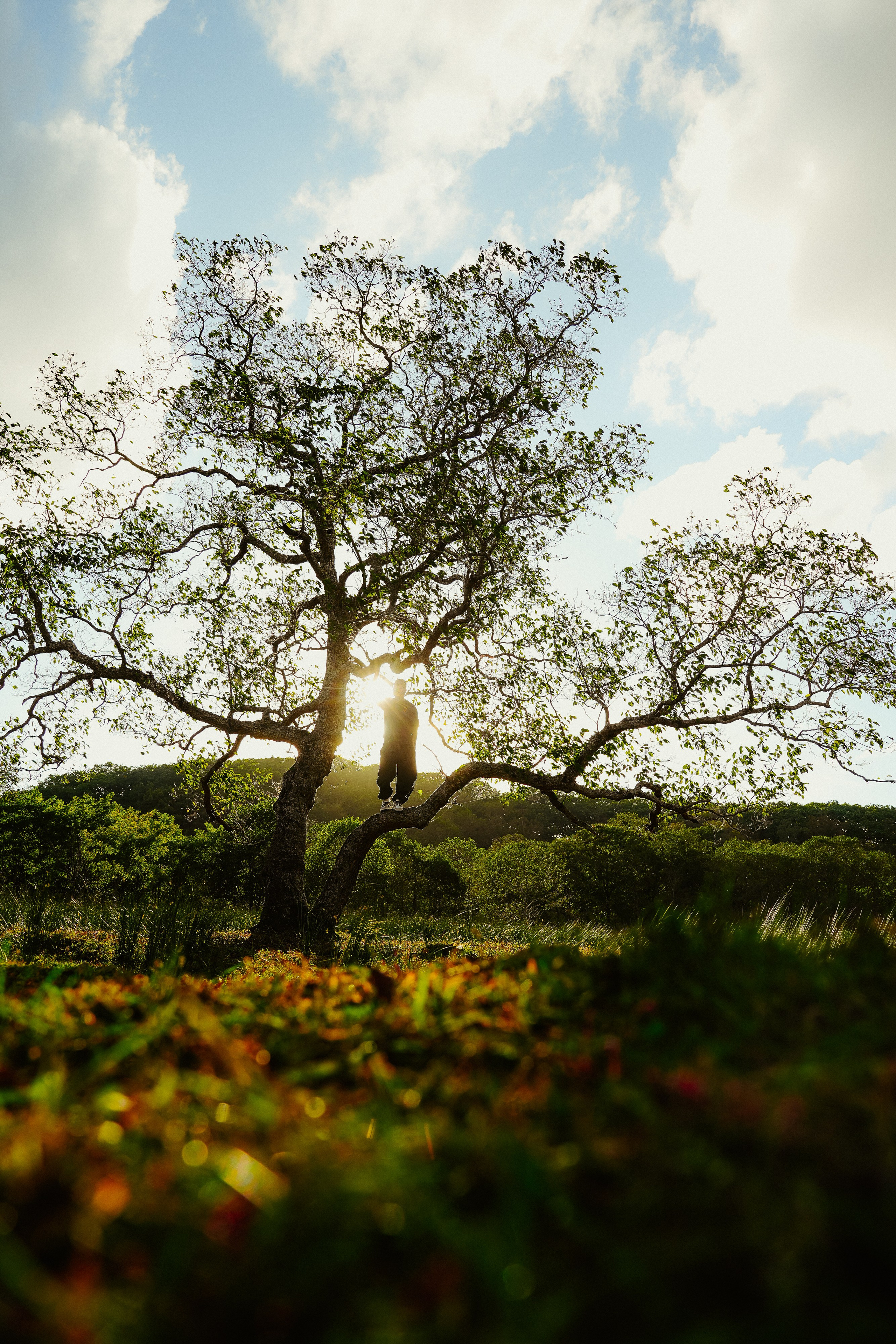 Имидж. Фотограф Москва