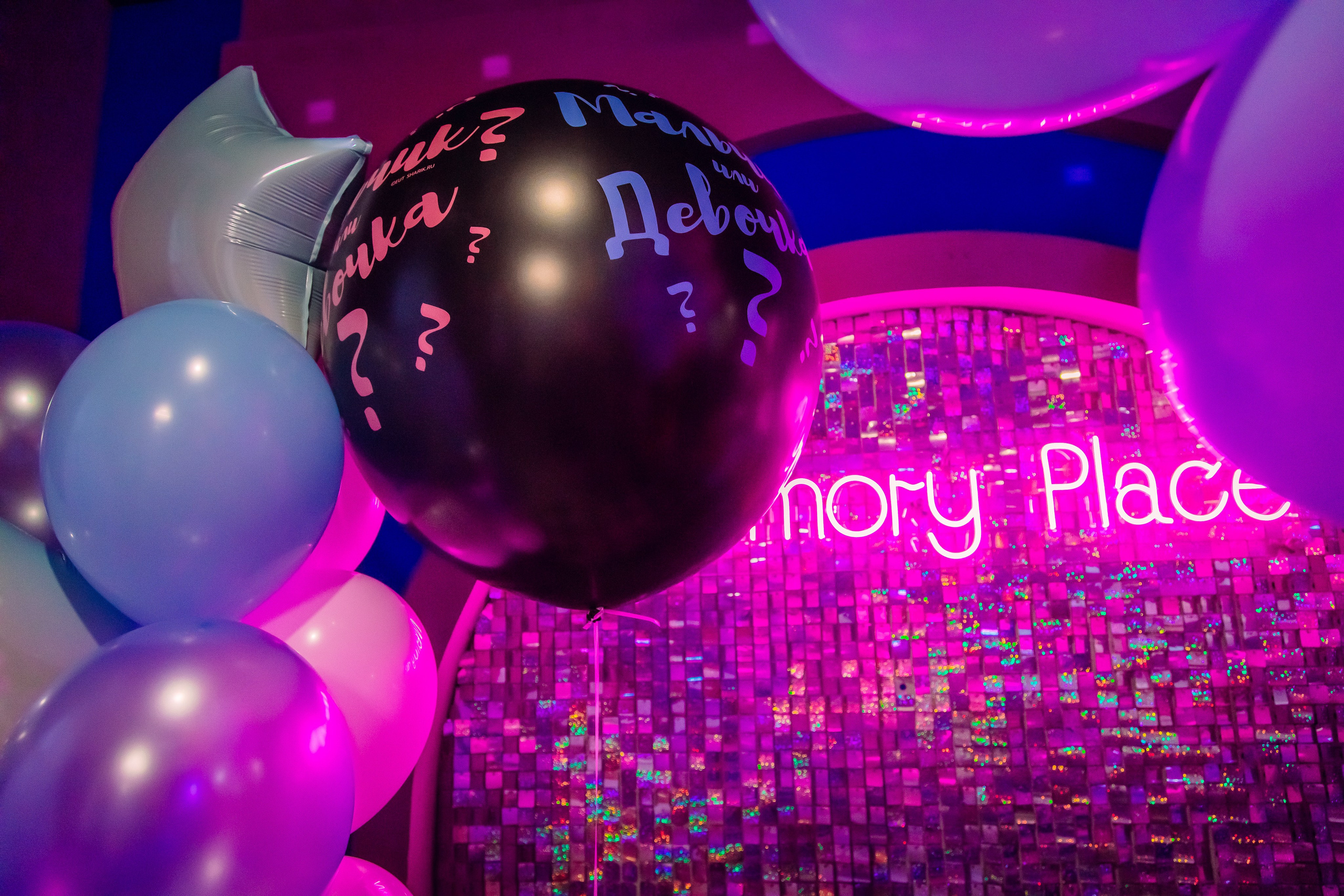 Гендер пати. Фотограф в Москве фотосессия