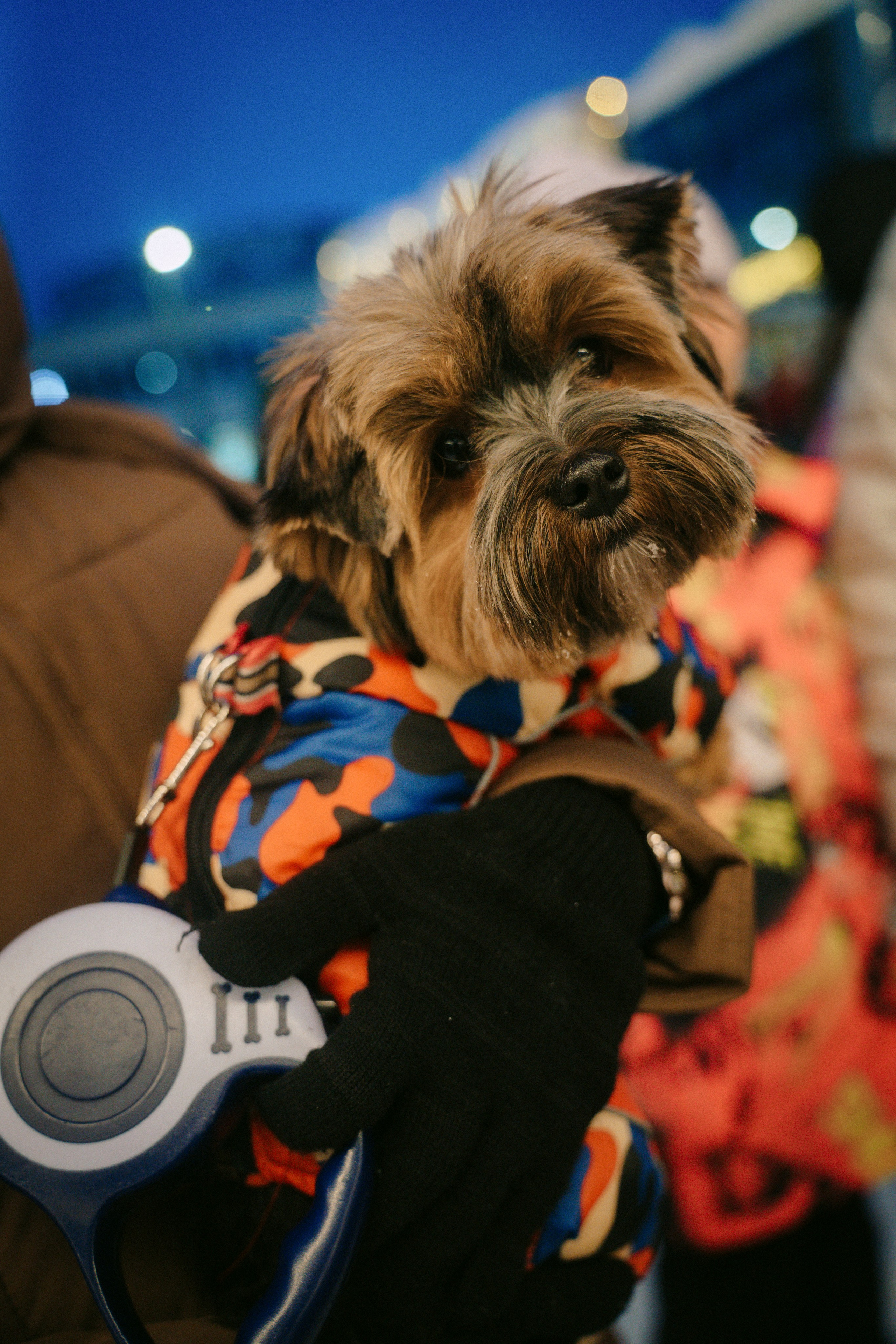 Новогодний Московский рынок. Главная