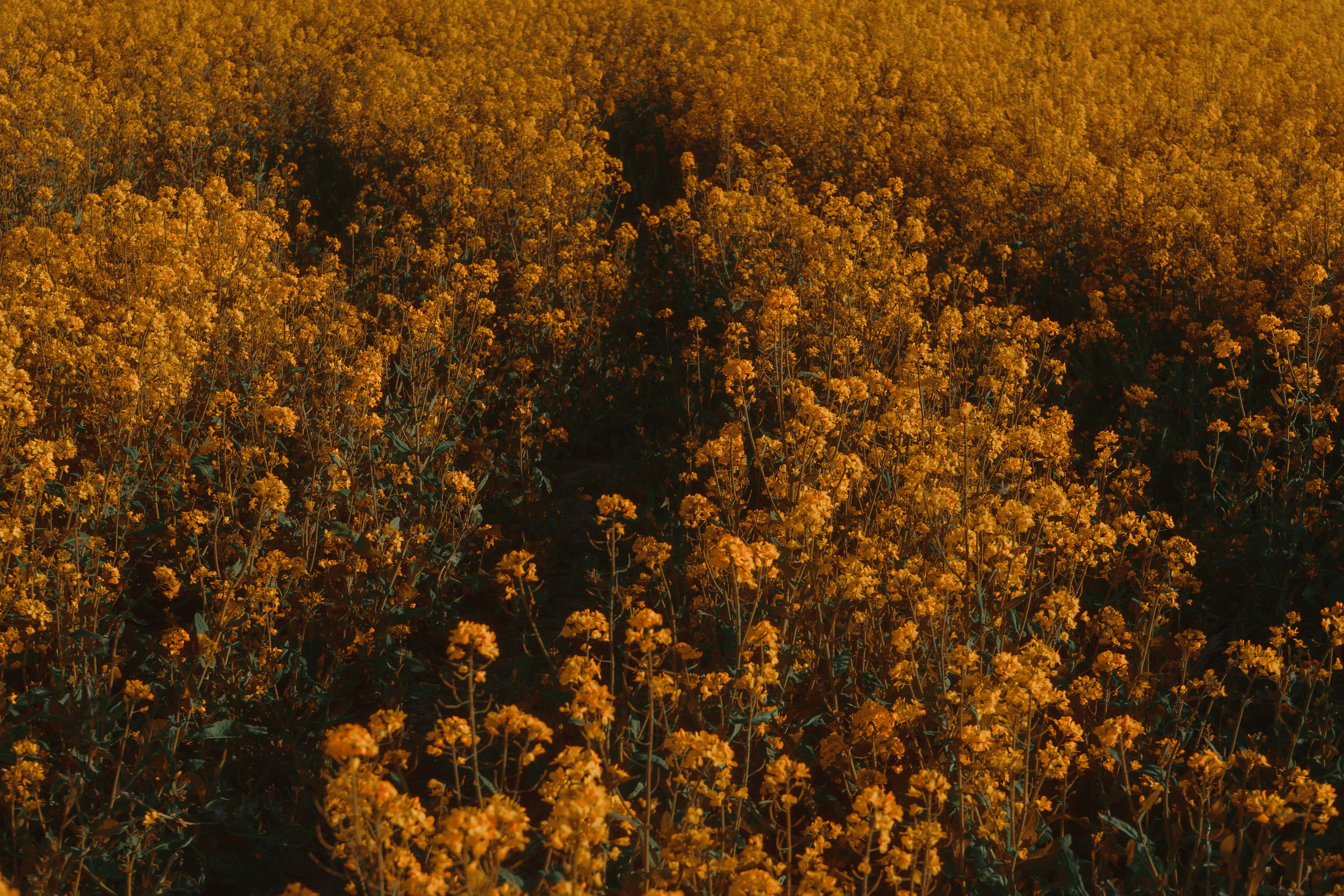 Балтика. Денис Марков — фотограф в Екатеринбурге