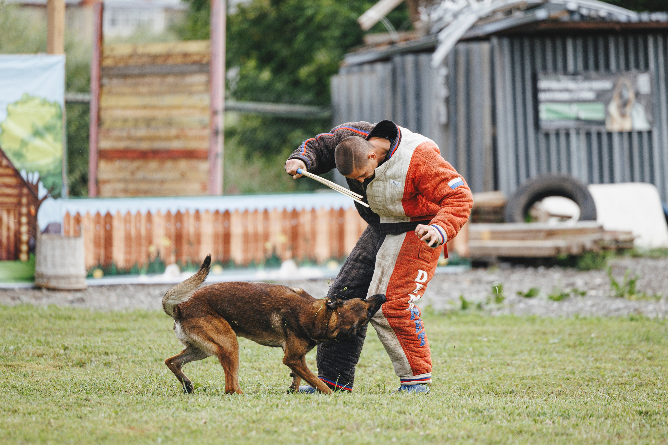08.08.25-10.08.25 ЧР по мондьорингу г. Вологда. Фотограф-анималист Анна Маринич