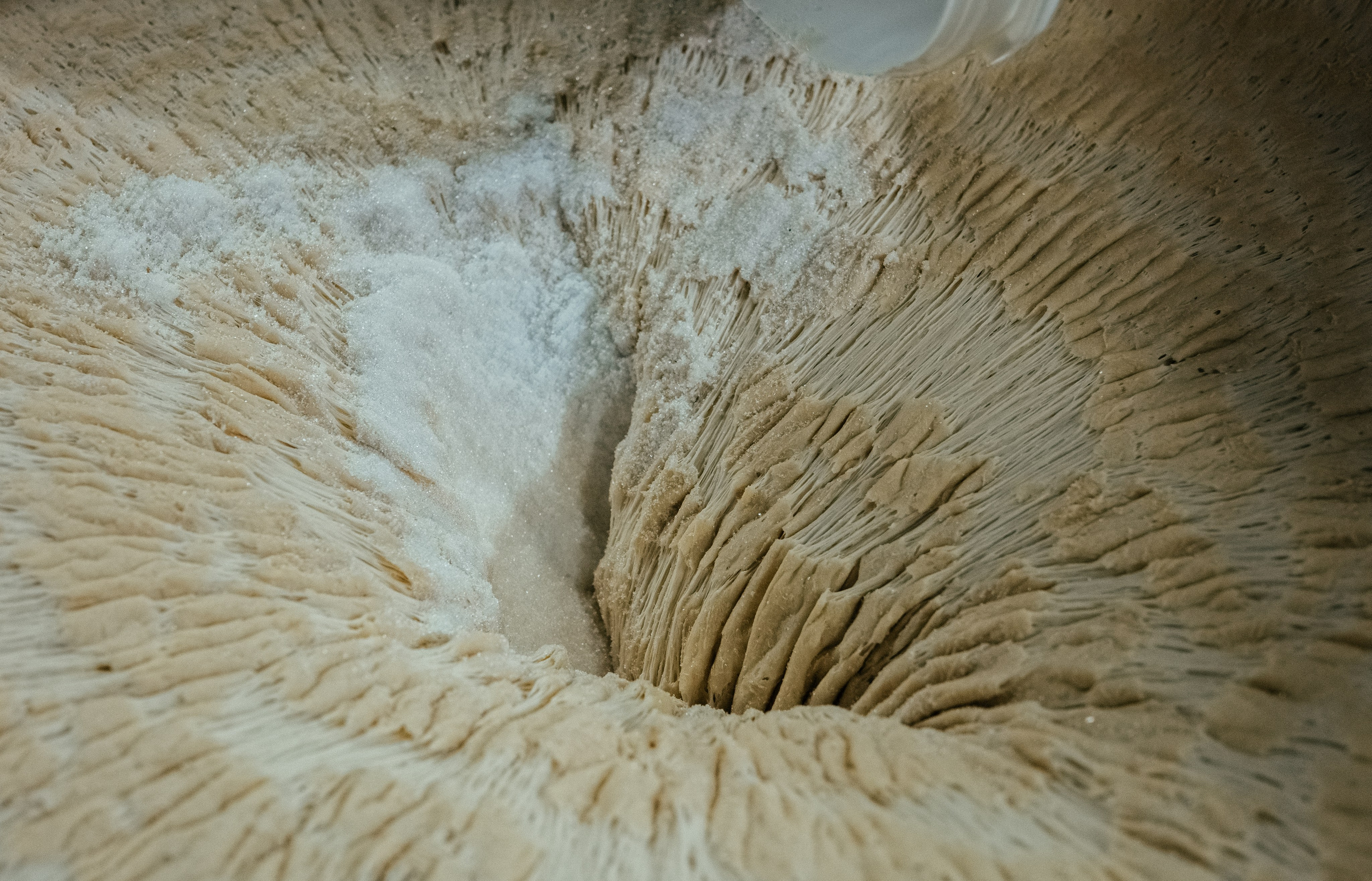 Хлебозавод г. Кемь. Создание контента | Фото | Видеосъемка | Александр Ярков