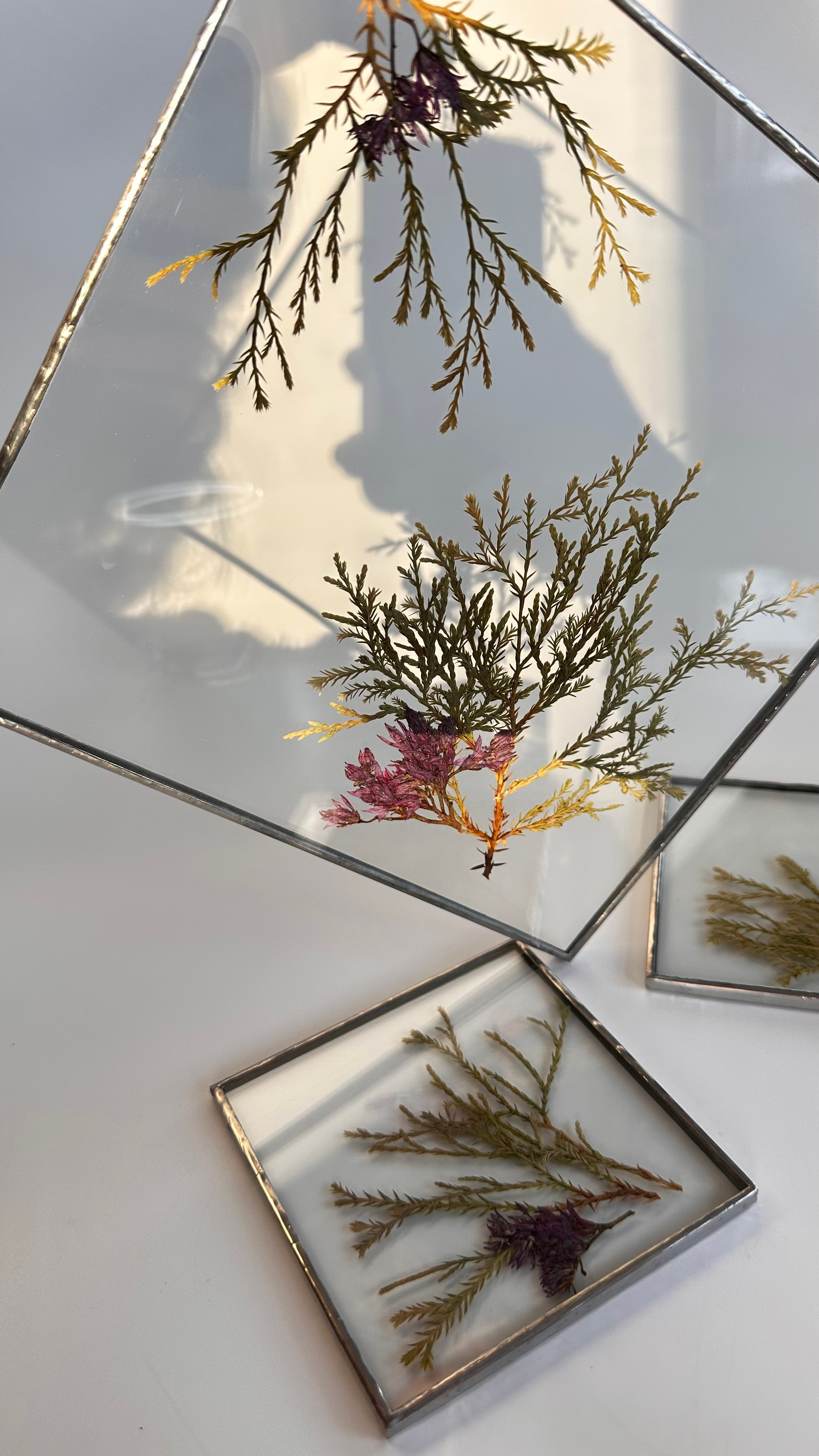 Гербарий в стекле с сухоцветами (витраж в технике тиффани). Гербарий в стекле, интерьерные панно, витражи с сухоцветами в технике тиффани