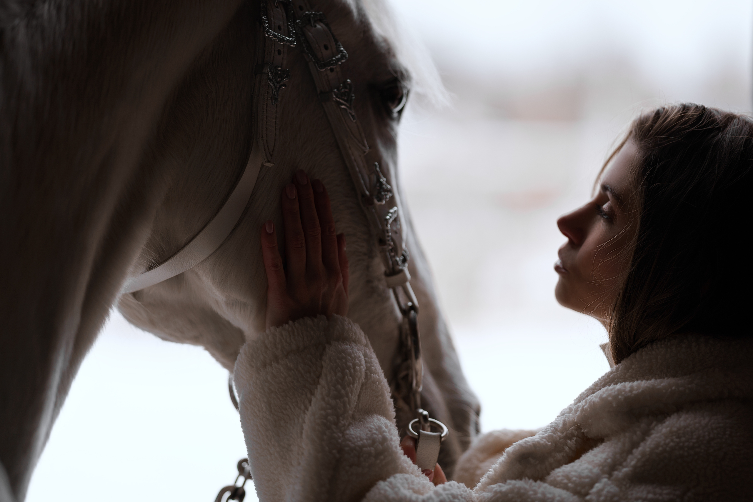 Фотосессии с лошадьми. Фотограф Артемьева Катерина|фотосессии с лошадьми