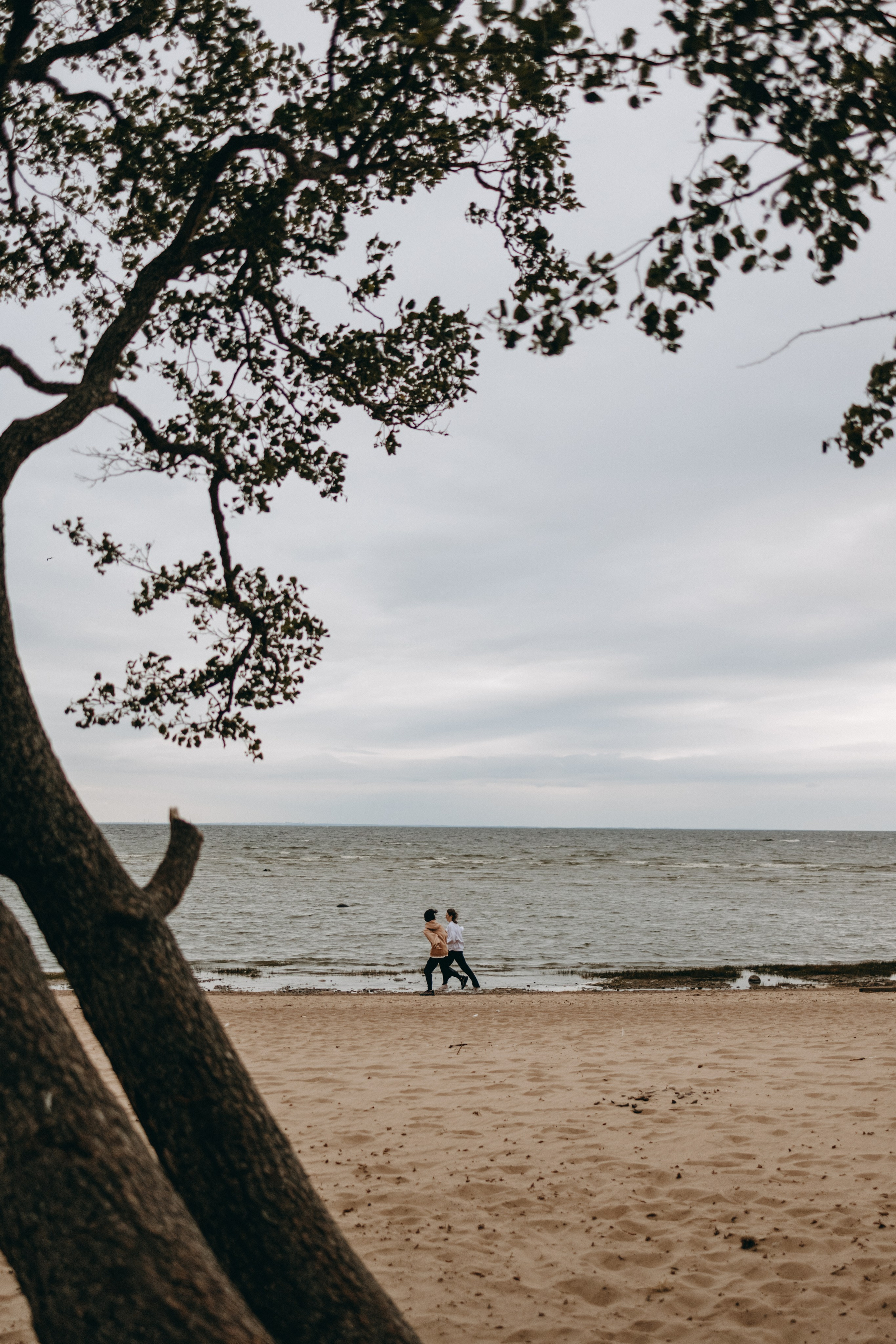 Фоси и его семьи. Фотограф — Анималист | Санкт-Петербург