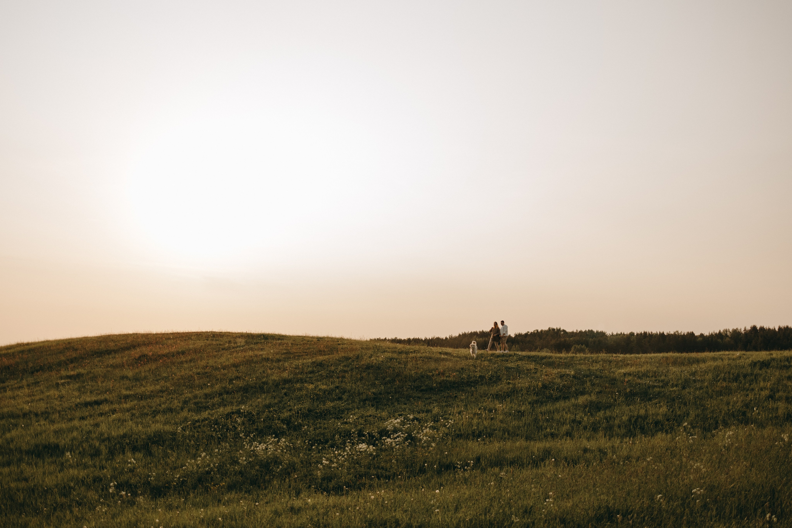 Милка и ребята. Фотограф — Анималист | Санкт-Петербург