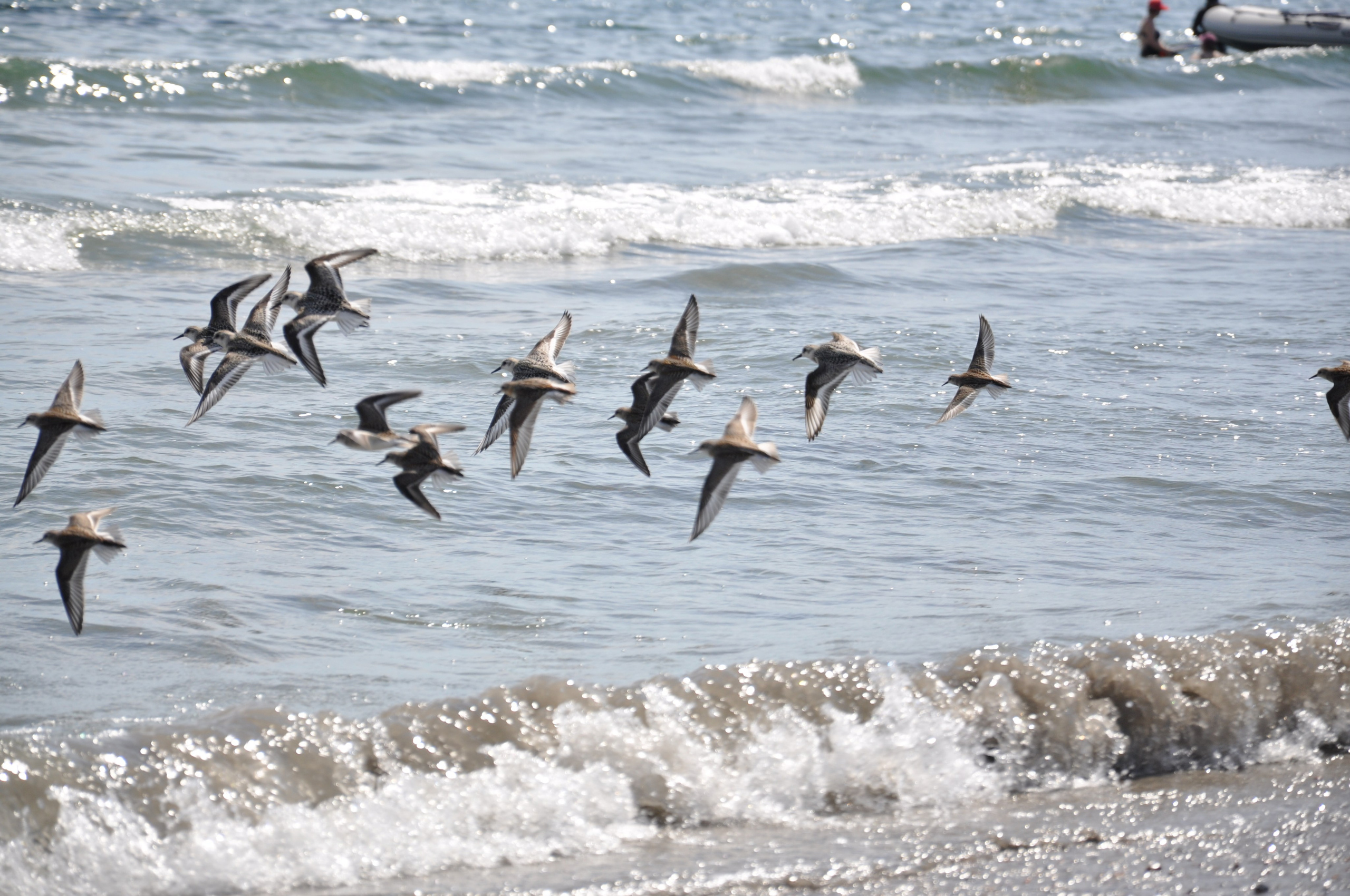 Главная. Любительская сьемка Владивосток Анна Юрьевна