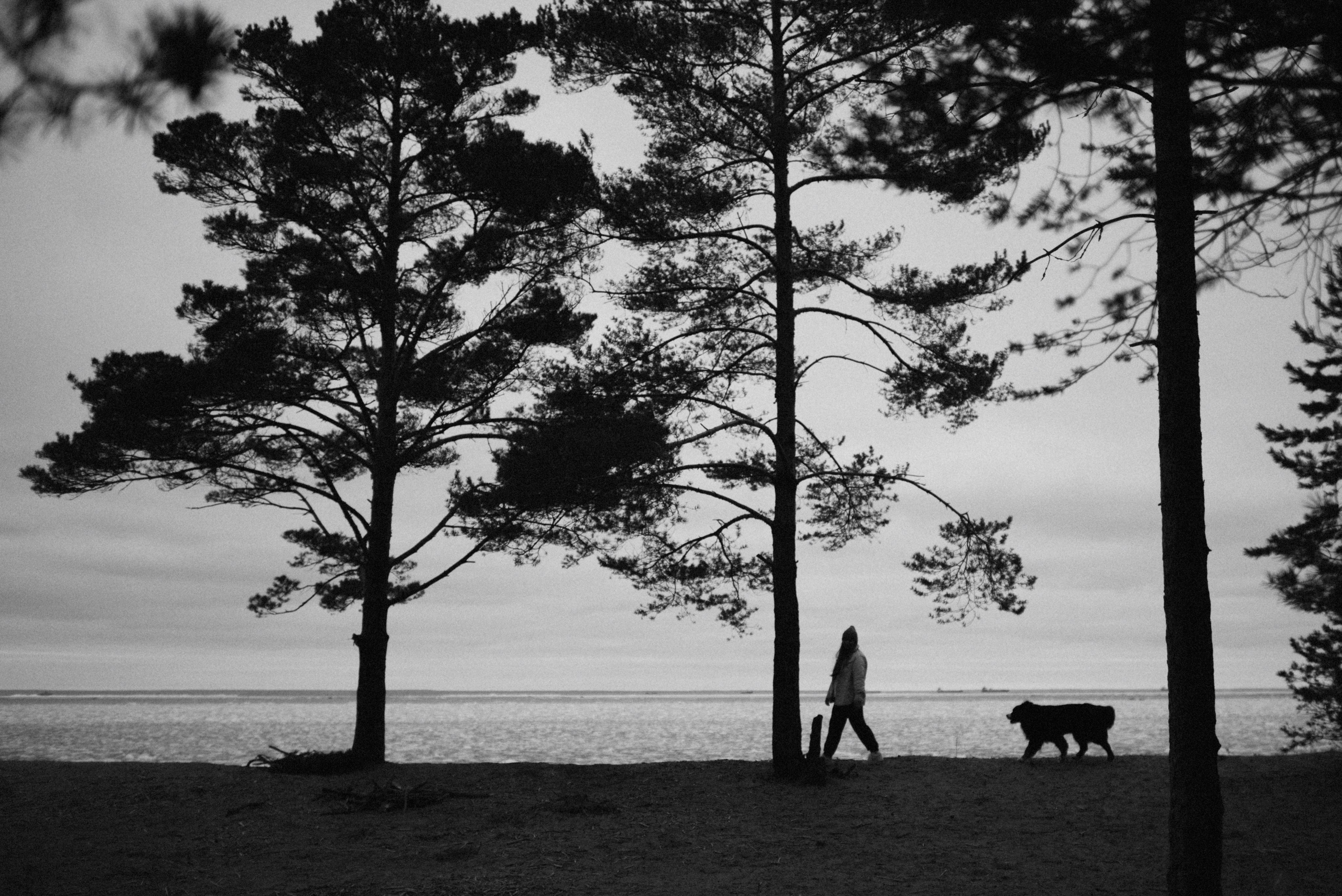 Прогулка: берн Пума, Фрэнк и Юля в Питере. Портфолио