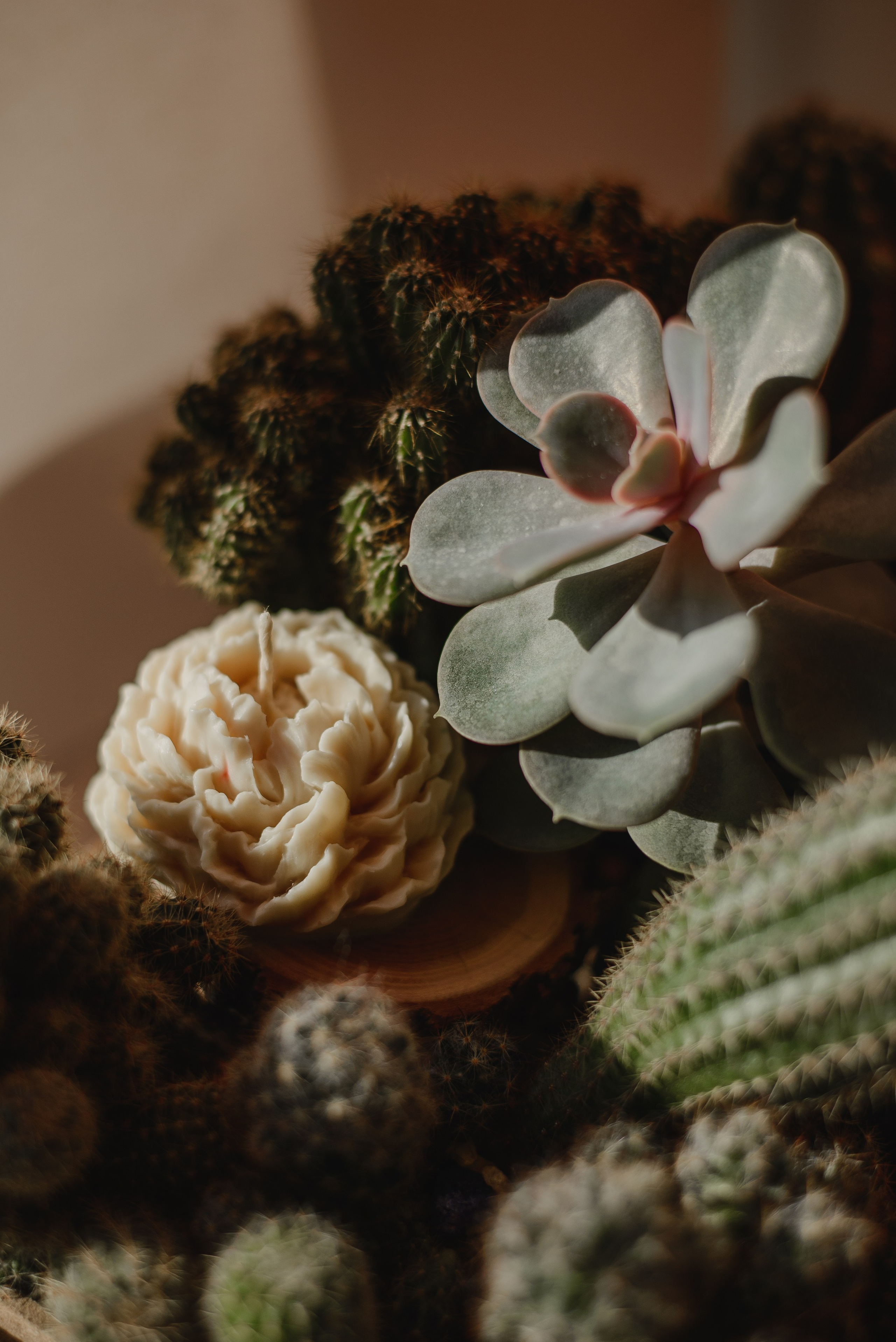 «Век свечи». Фотограф в Москве Казакова Анна