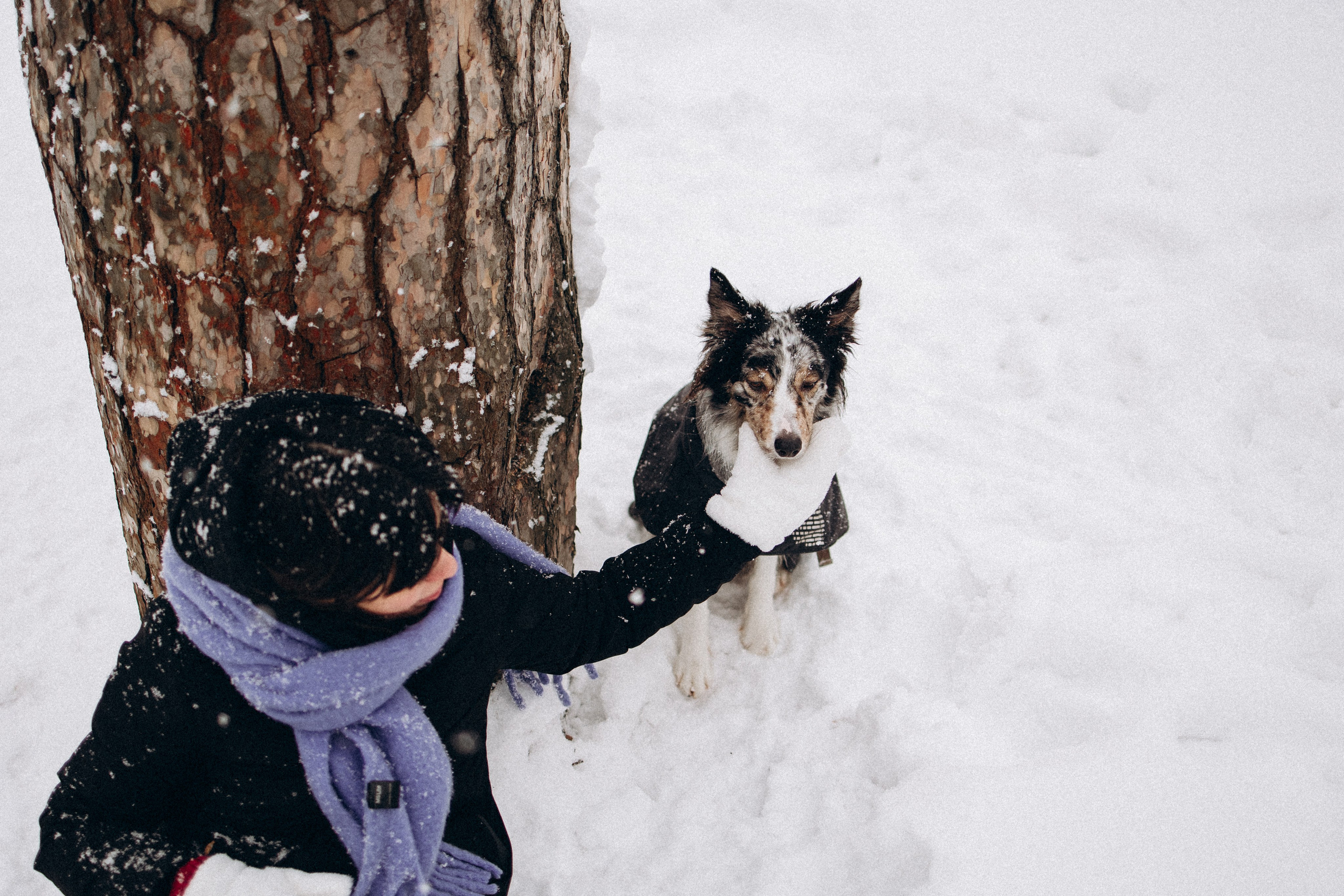 Настя и Тор. Фотораф — анималист Мария Шистка