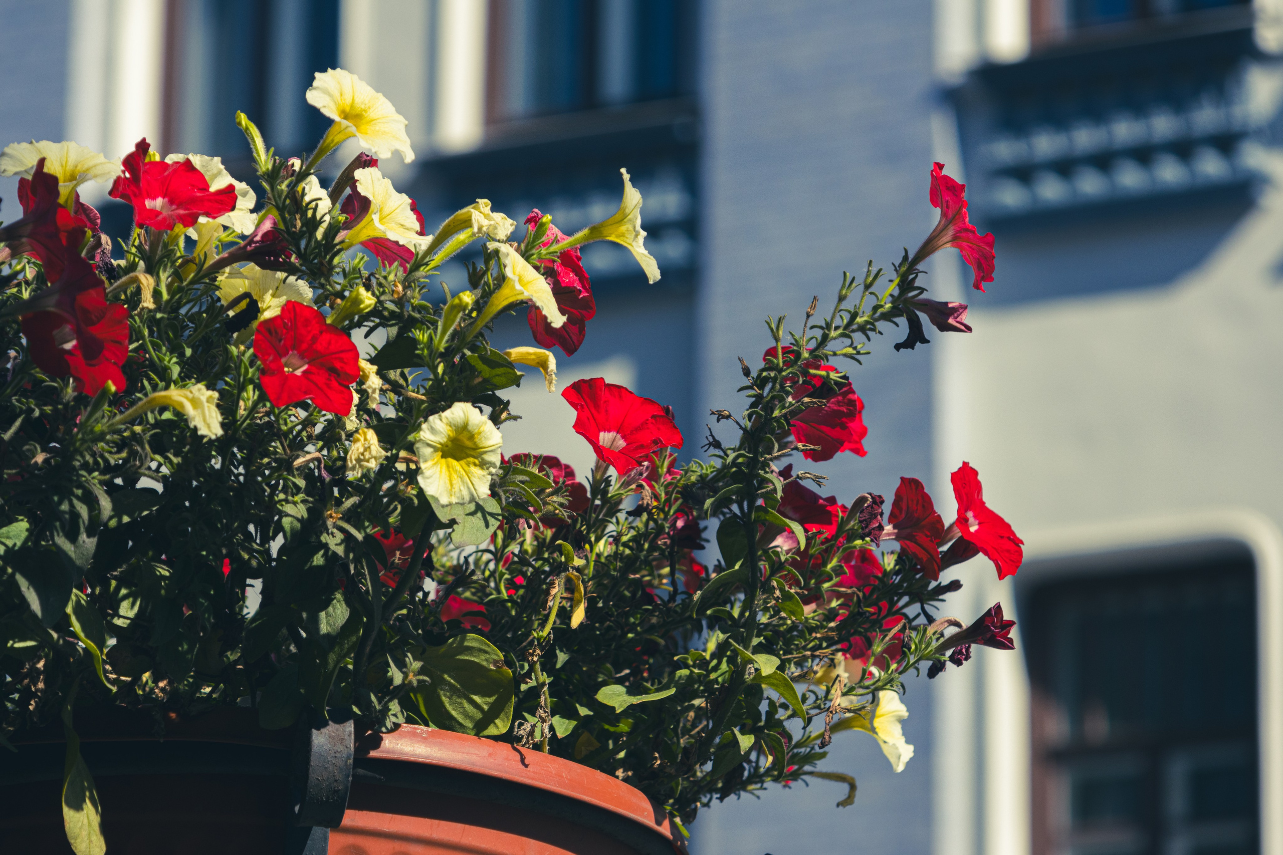 Иркутск. Jean De Vivre Gallery