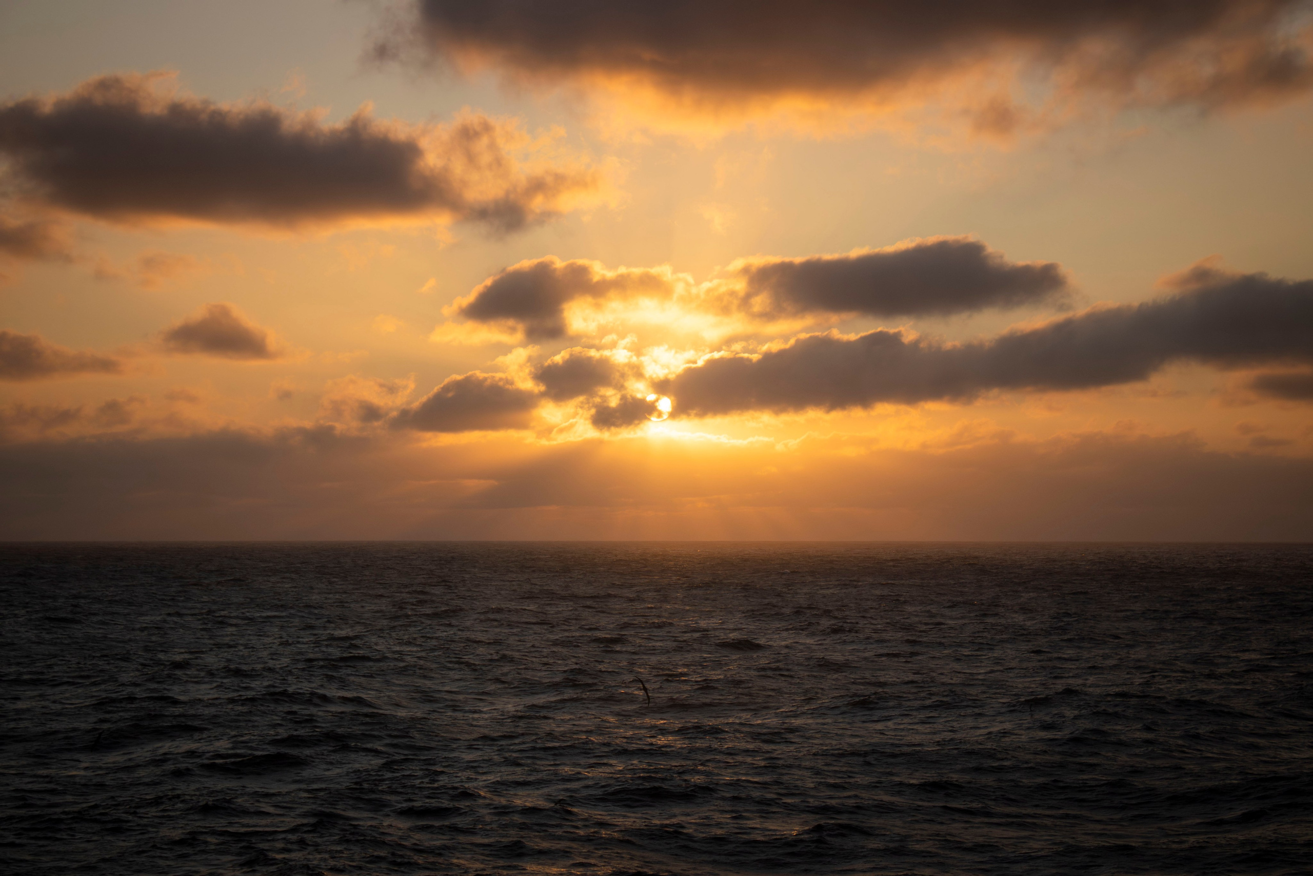 Когда я в море. Часть 1. Фотограф г. Владивосток