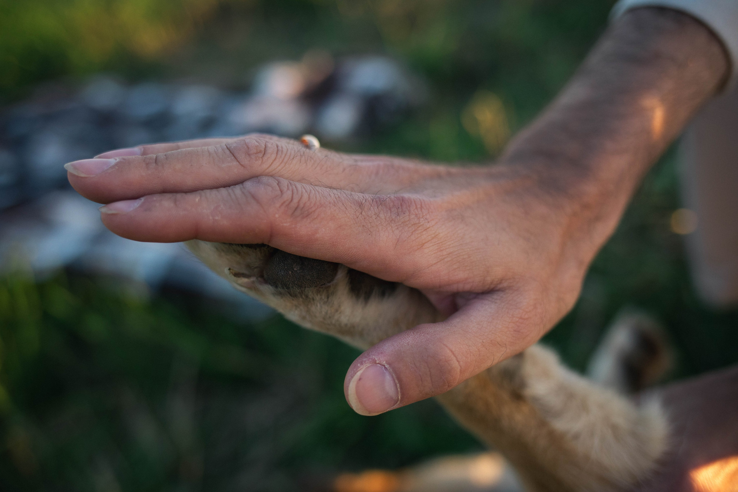 Альбом2. Фотограф Мария Сургаева | Профессиональная фотосъемка в Москве