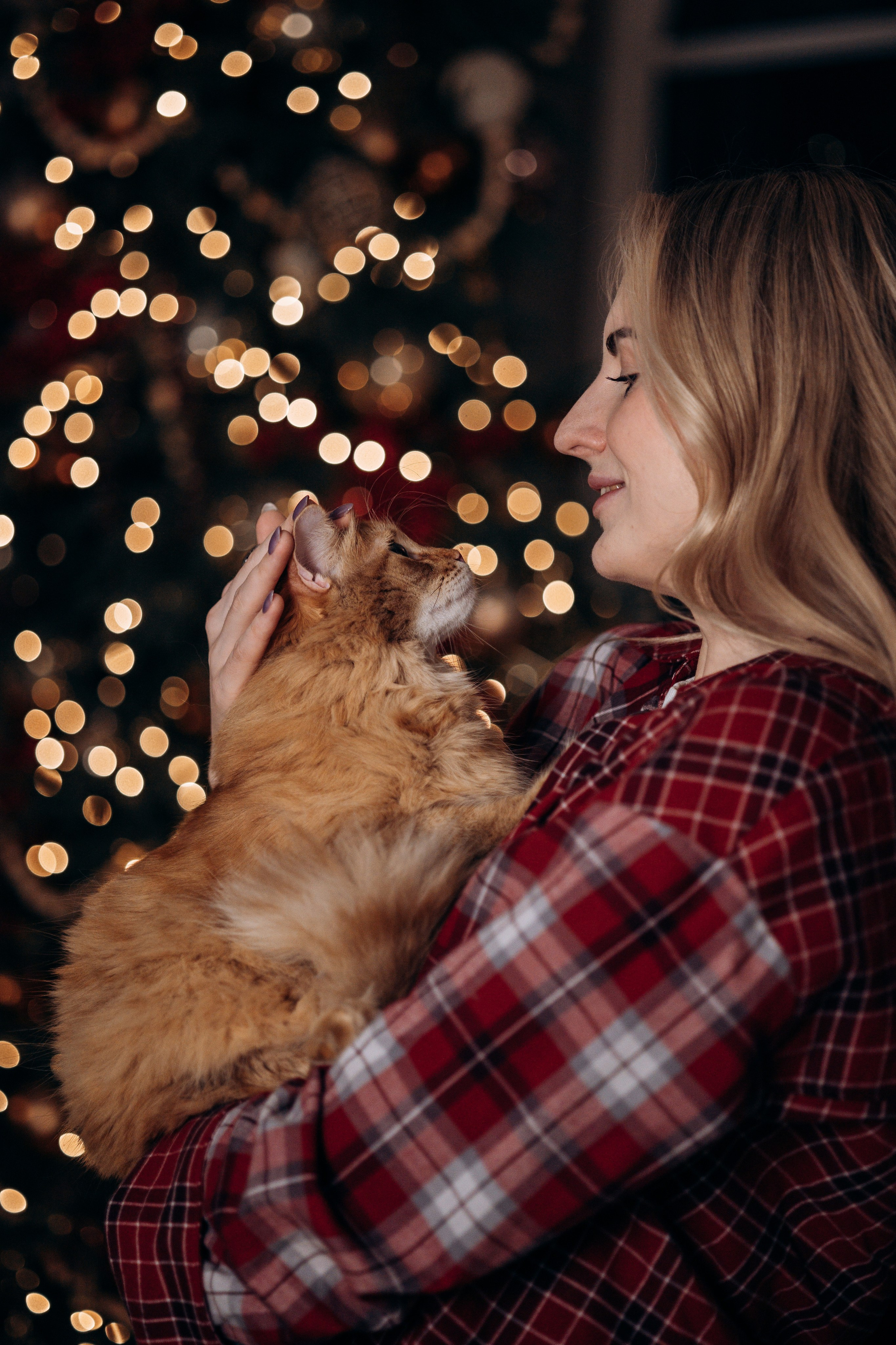 Эля и Франц. Фотограф — Анималист | Санкт-Петербург