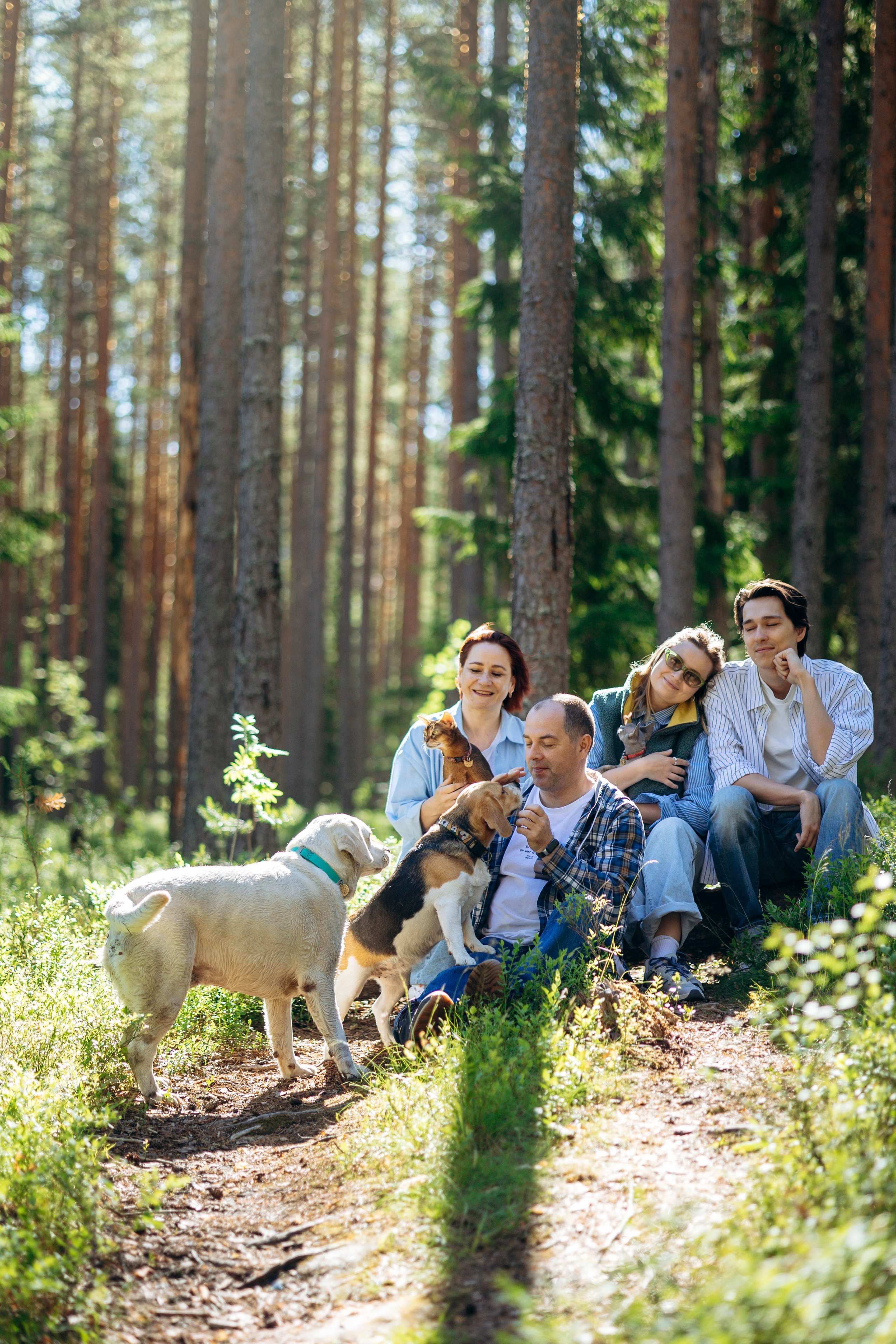 Котофеи и их семья. Фотограф — Анималист | Санкт-Петербург