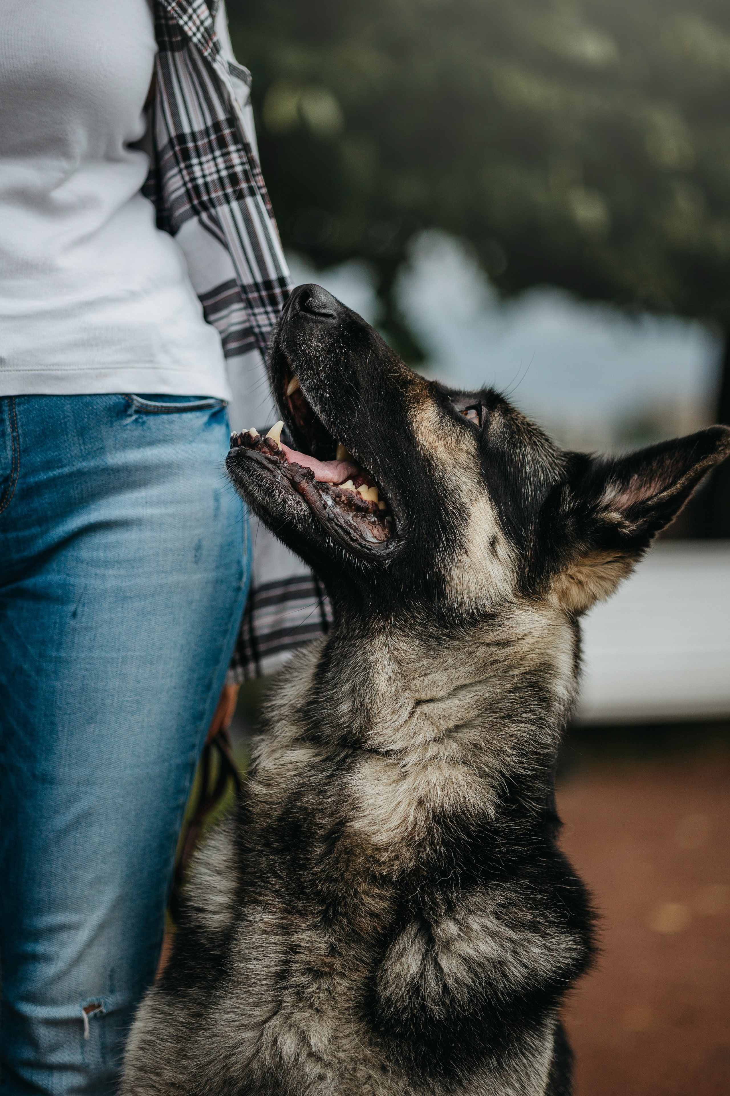 Рей и Ксения. Фотограф — Анималист | Санкт-Петербург