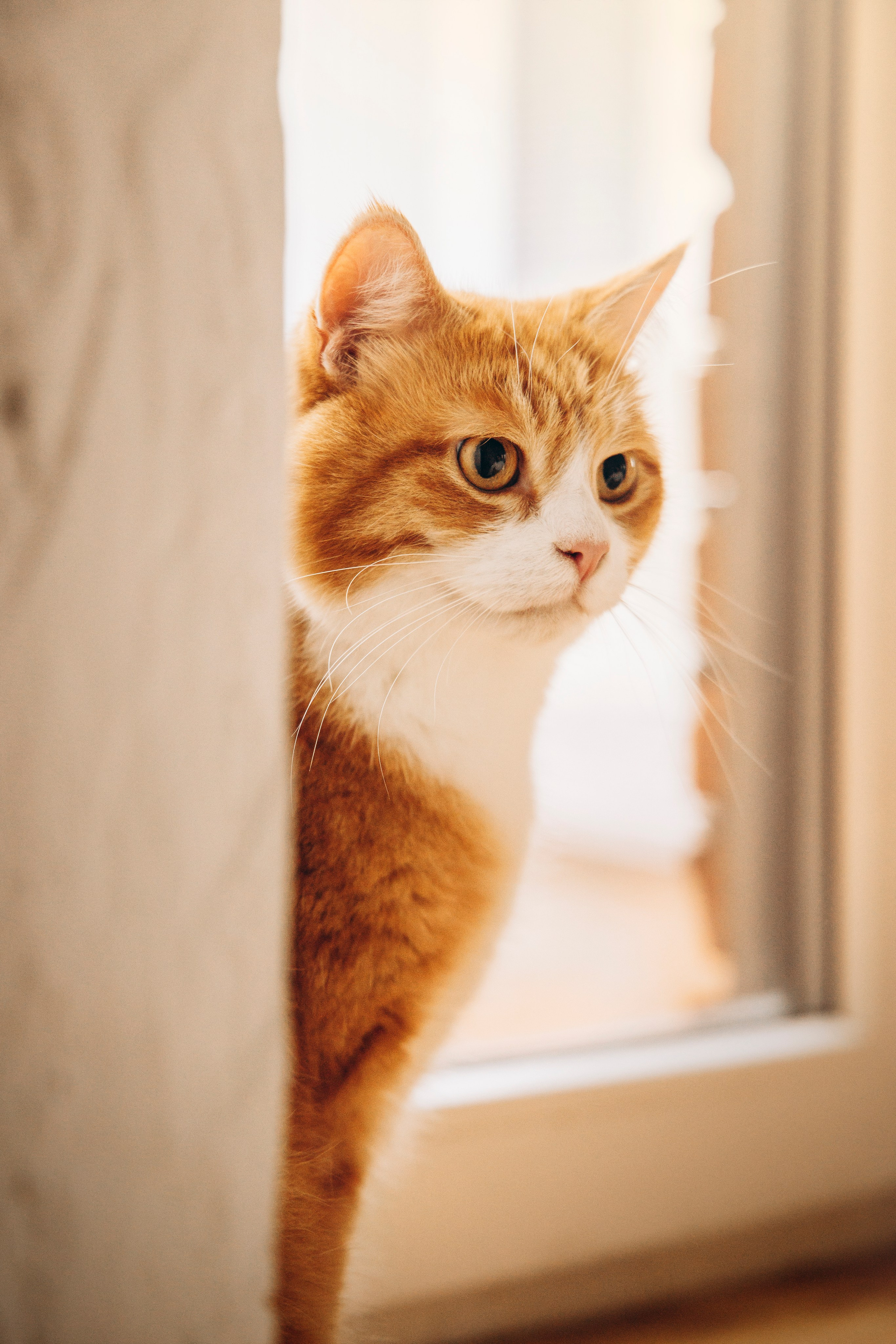 Аня и ее семья. Фотограф — Анималист | Санкт-Петербург