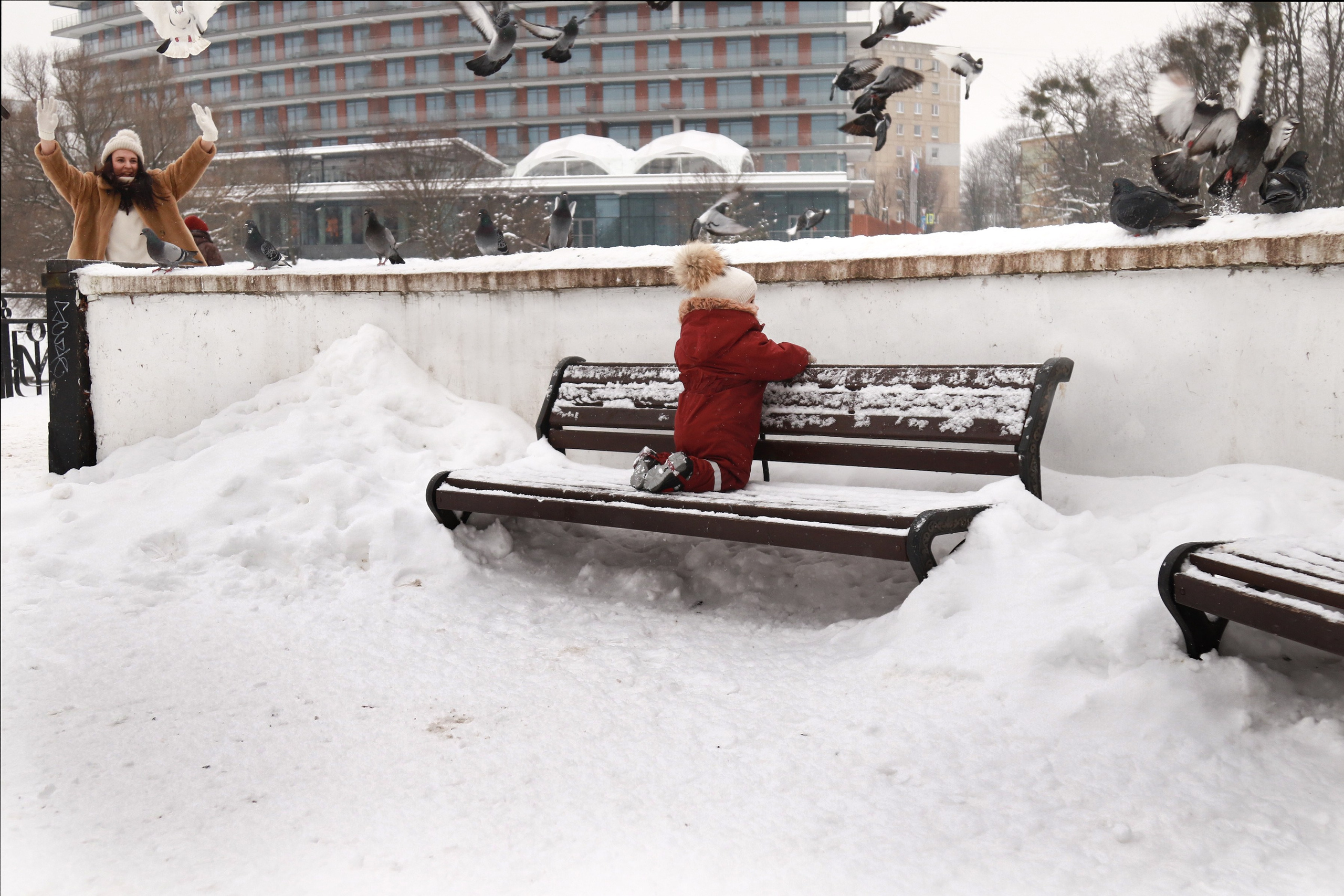 Красотки на снежной прогулке. Фотограф Зеленоградск Лиана Сопина