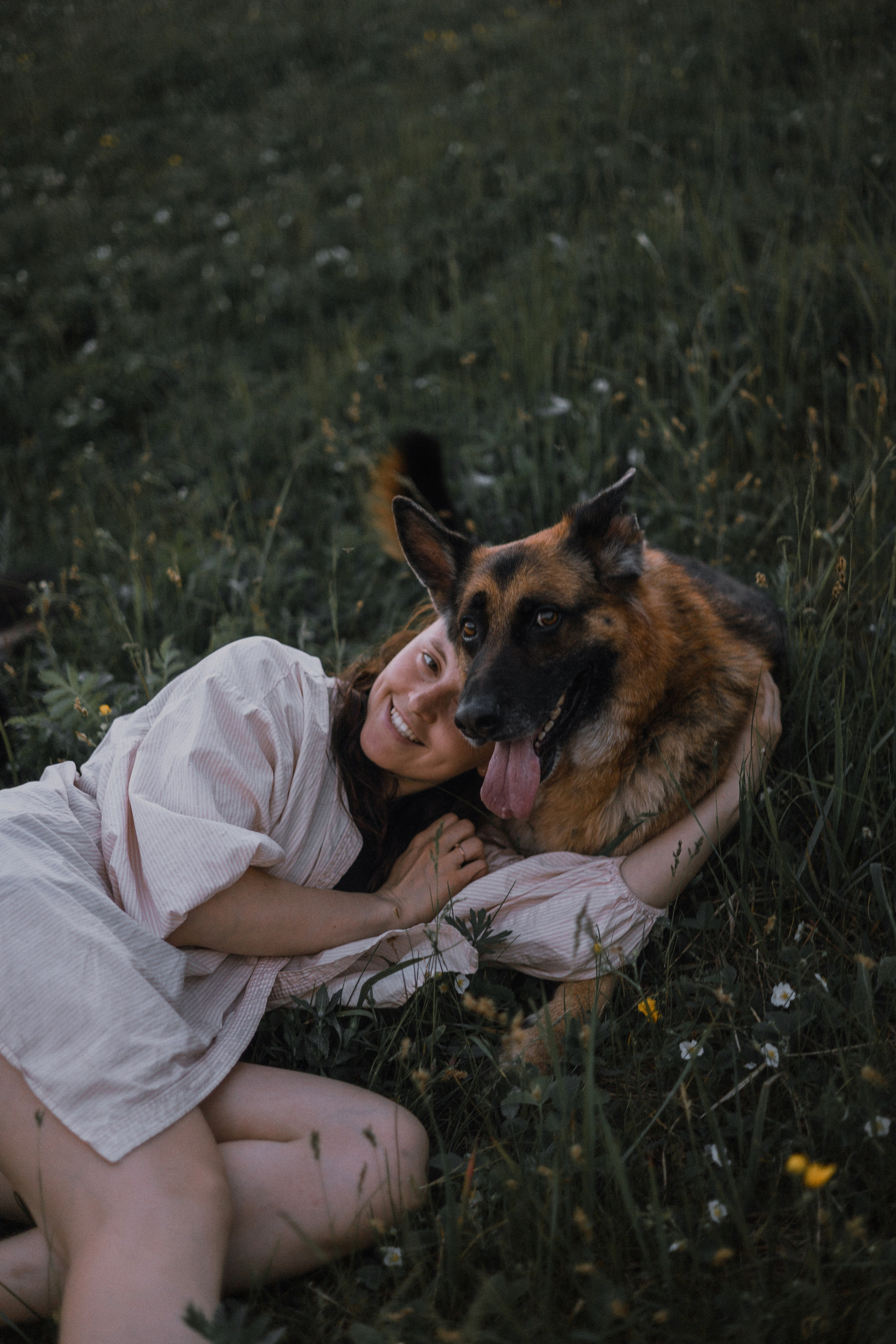 Настя, Шуня, Милка и Тигуан. Фотограф-анималист Богданова Полина