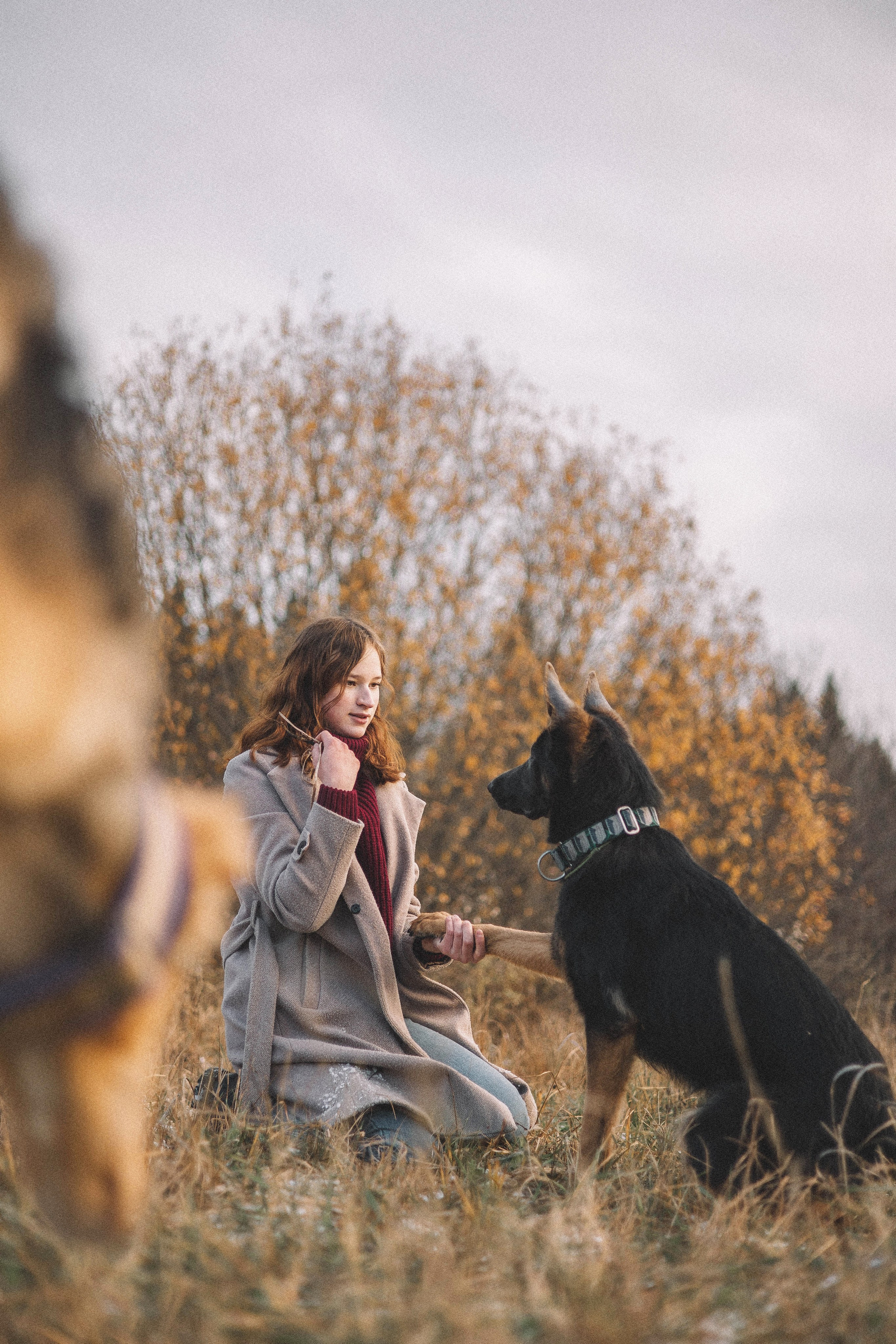 Алена, Леви и Микаса. Фотограф-анималист Богданова Полина