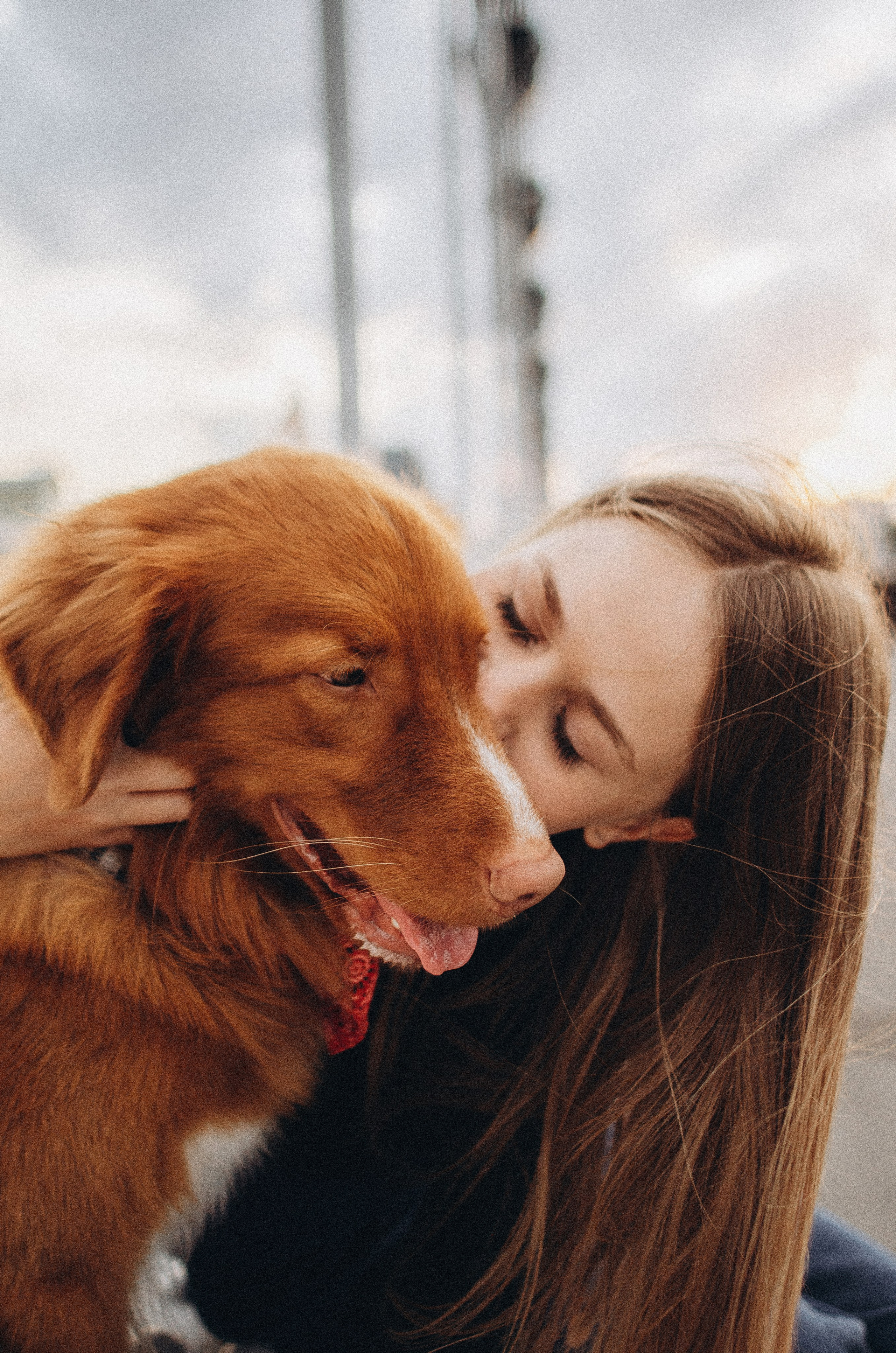 Алина и Бис. Фотограф-анималист Богданова Полина
