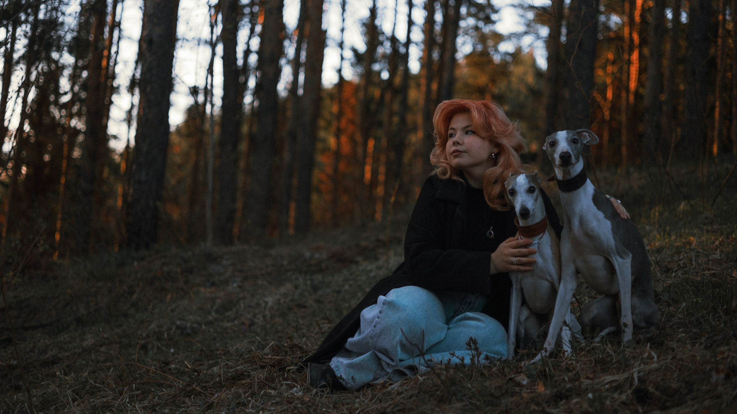 Вика, Джем и Белла. Фотограф-анималист Богданова Полина