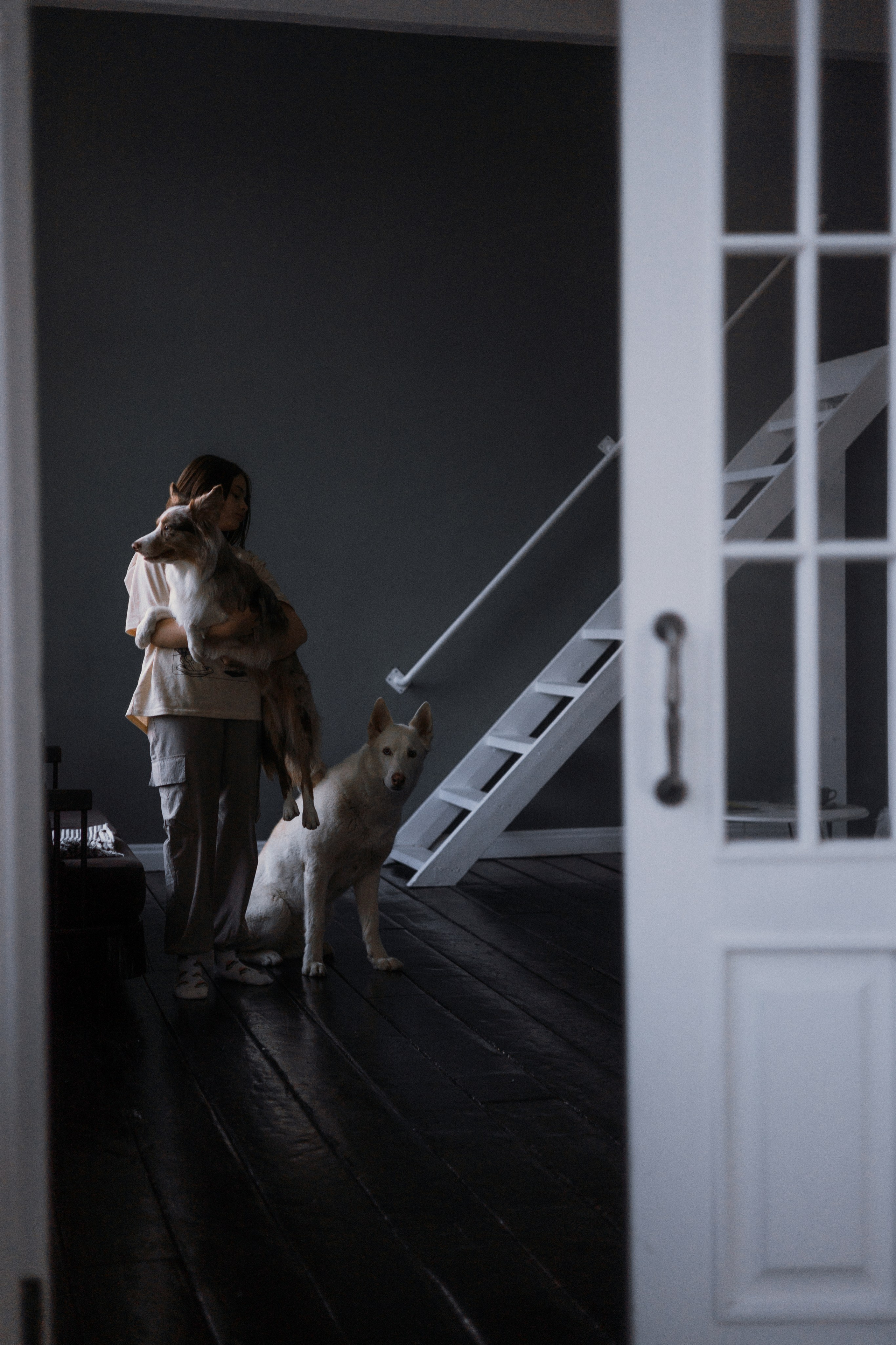 Аня, Дэймон и Грэй. Фотограф-анималист Богданова Полина