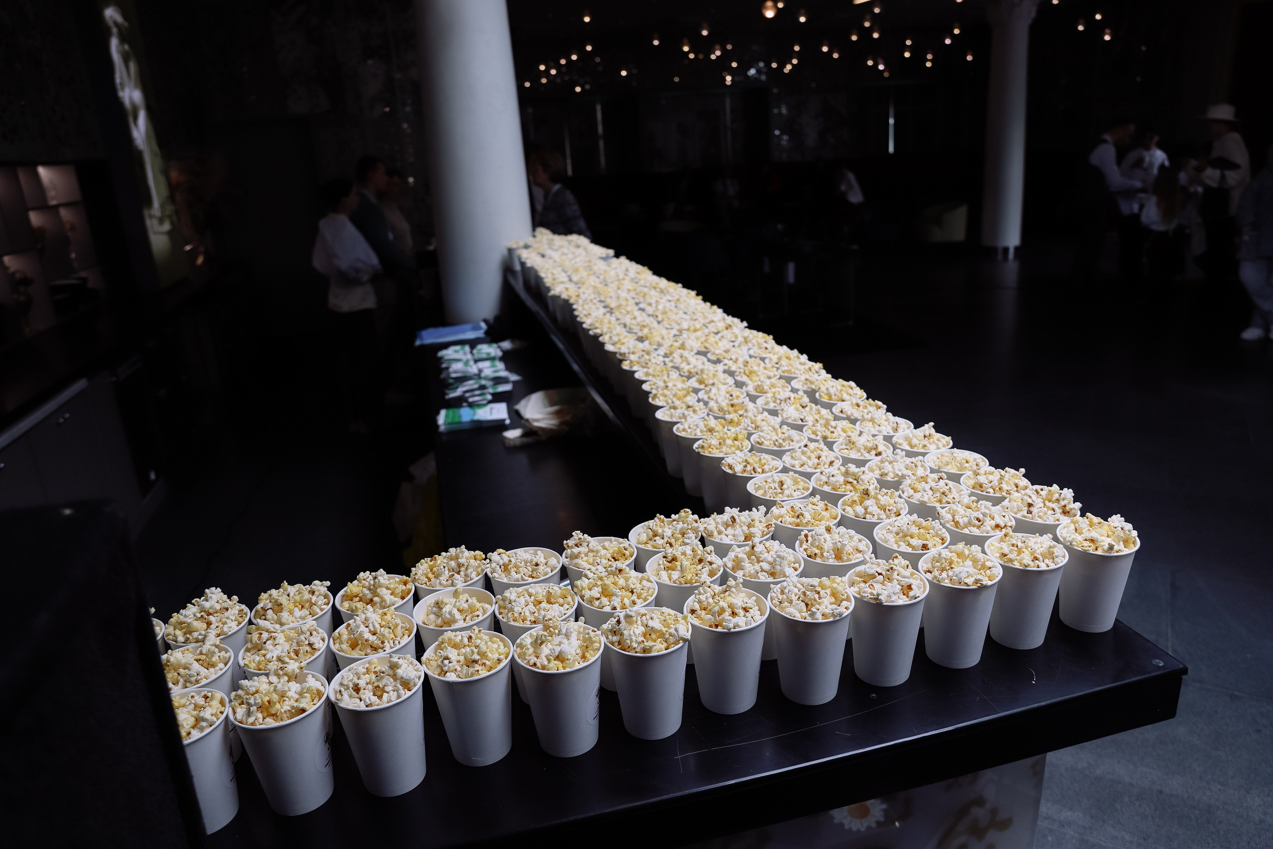 Кинофестиваль Медвежонок в Победе. Фотограф Юлия Мальцева