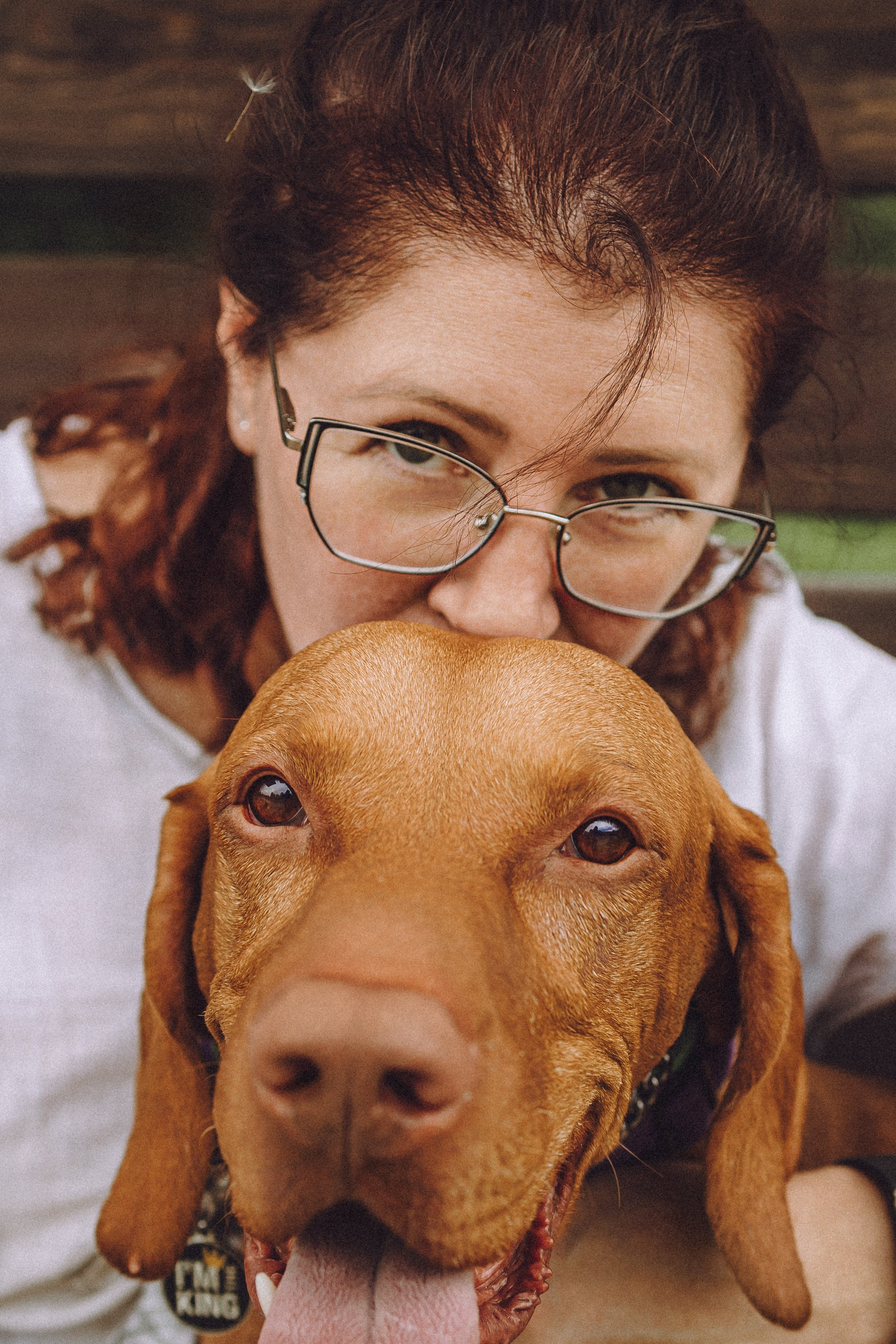 Груша, Данни, Фунтик и их семья