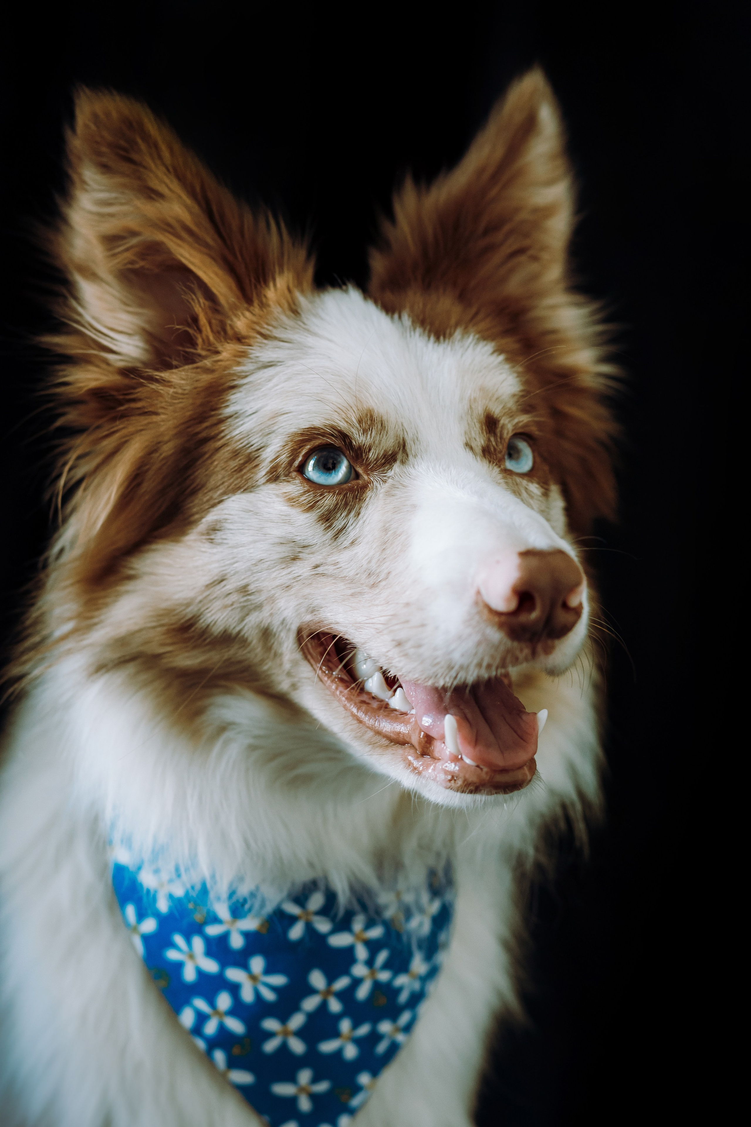 День рождения Айко