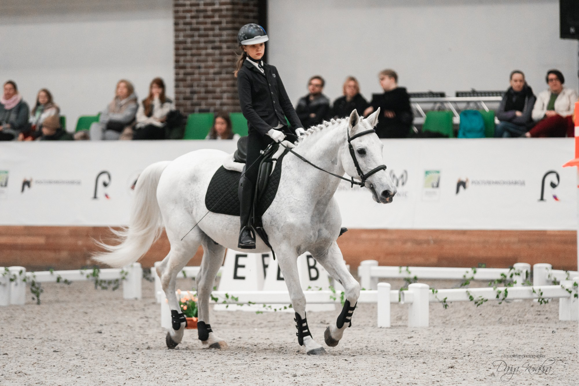 8-я международная выставка Конная Россия. Конный фотограф Куракина Дарья • Фотосессии с лошадьми