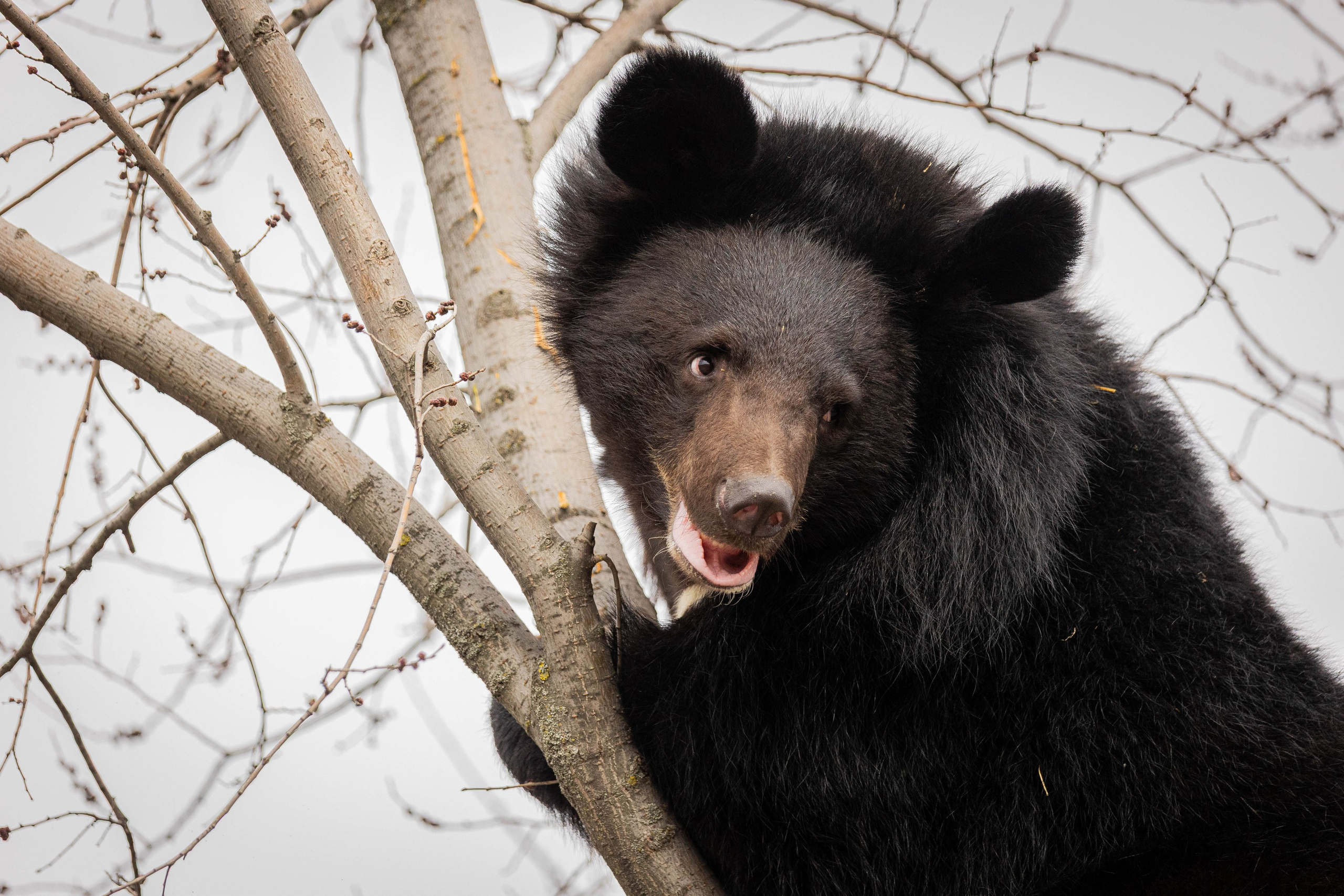 Парк Малинки 2026. Фотограф-АниМалист Анна Абрамова