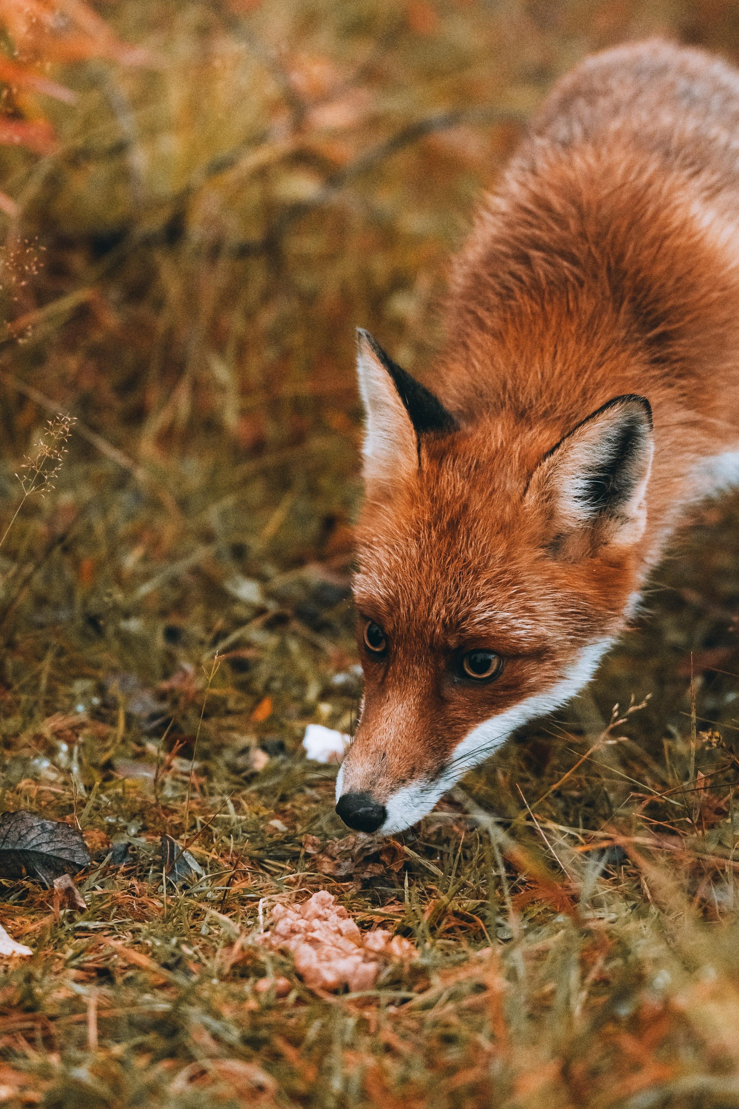СЕВЕР. Event фотограф Степанова Александра