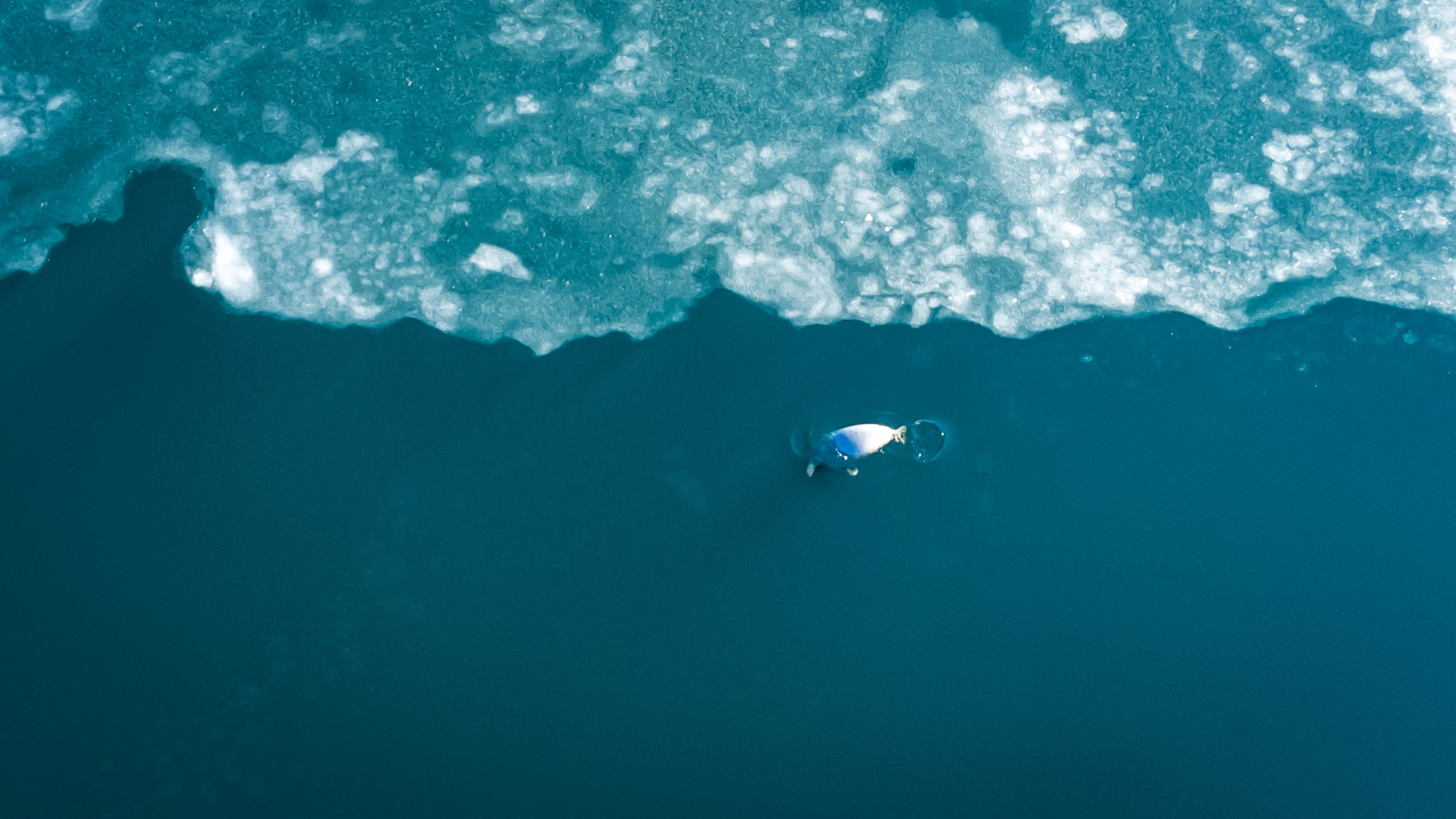 Landscape. Фотограф Валентин Кольцов, фотограф владивосток, свадебный фотограф, с