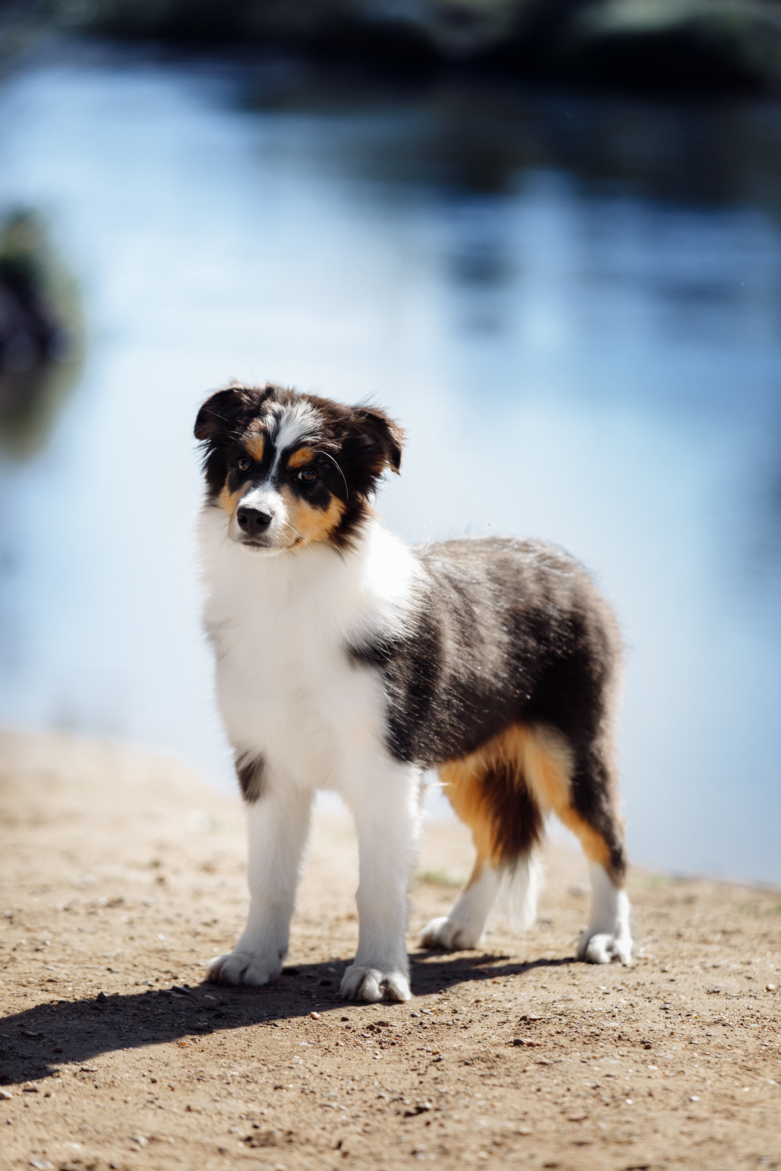 Водяные в Новотроицке. О нас