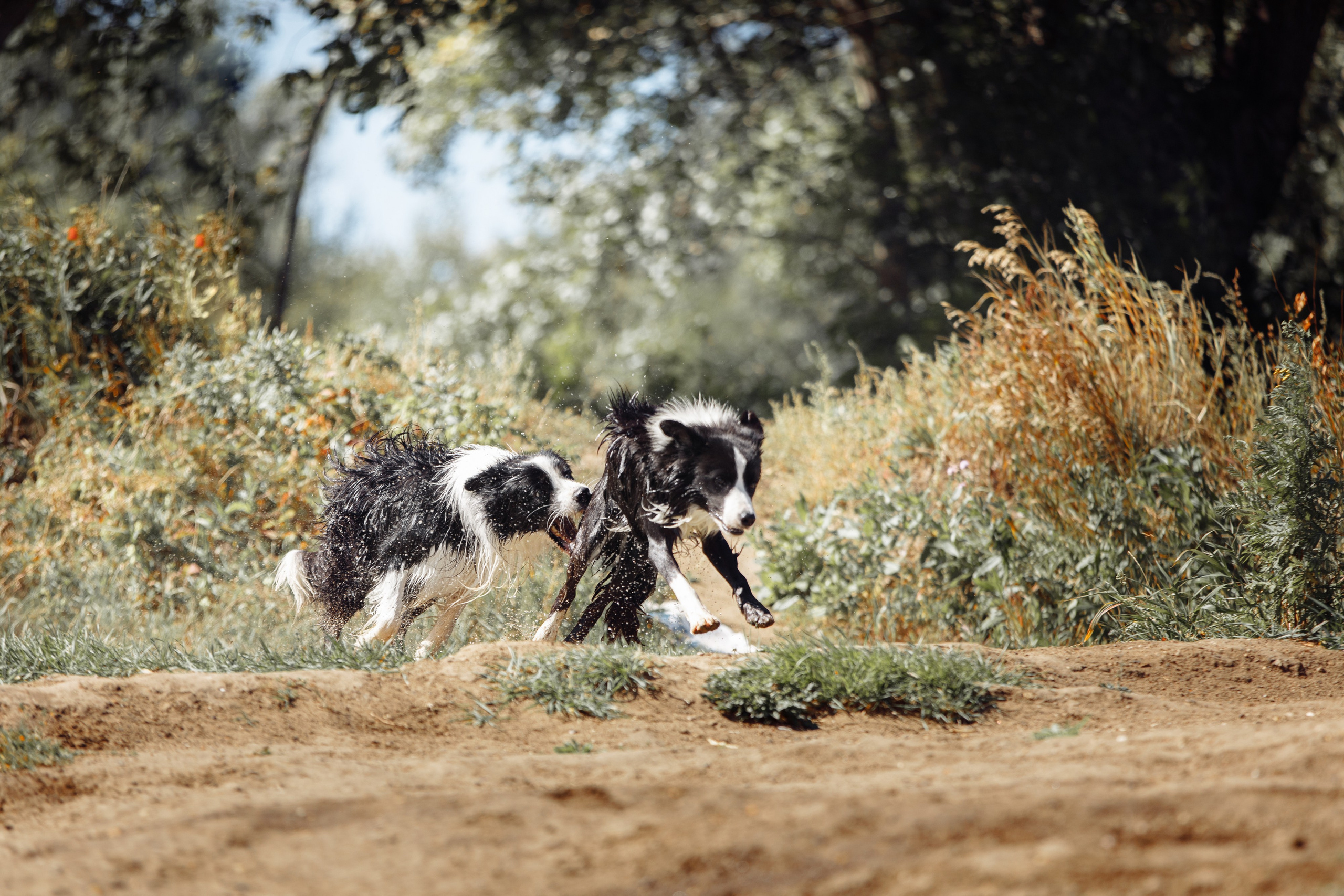 Водяные в Новотроицке. О нас