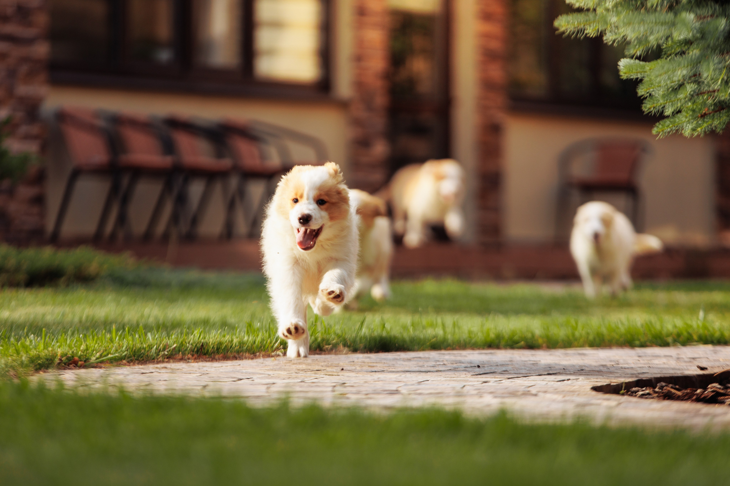 СОлнечные. О нас