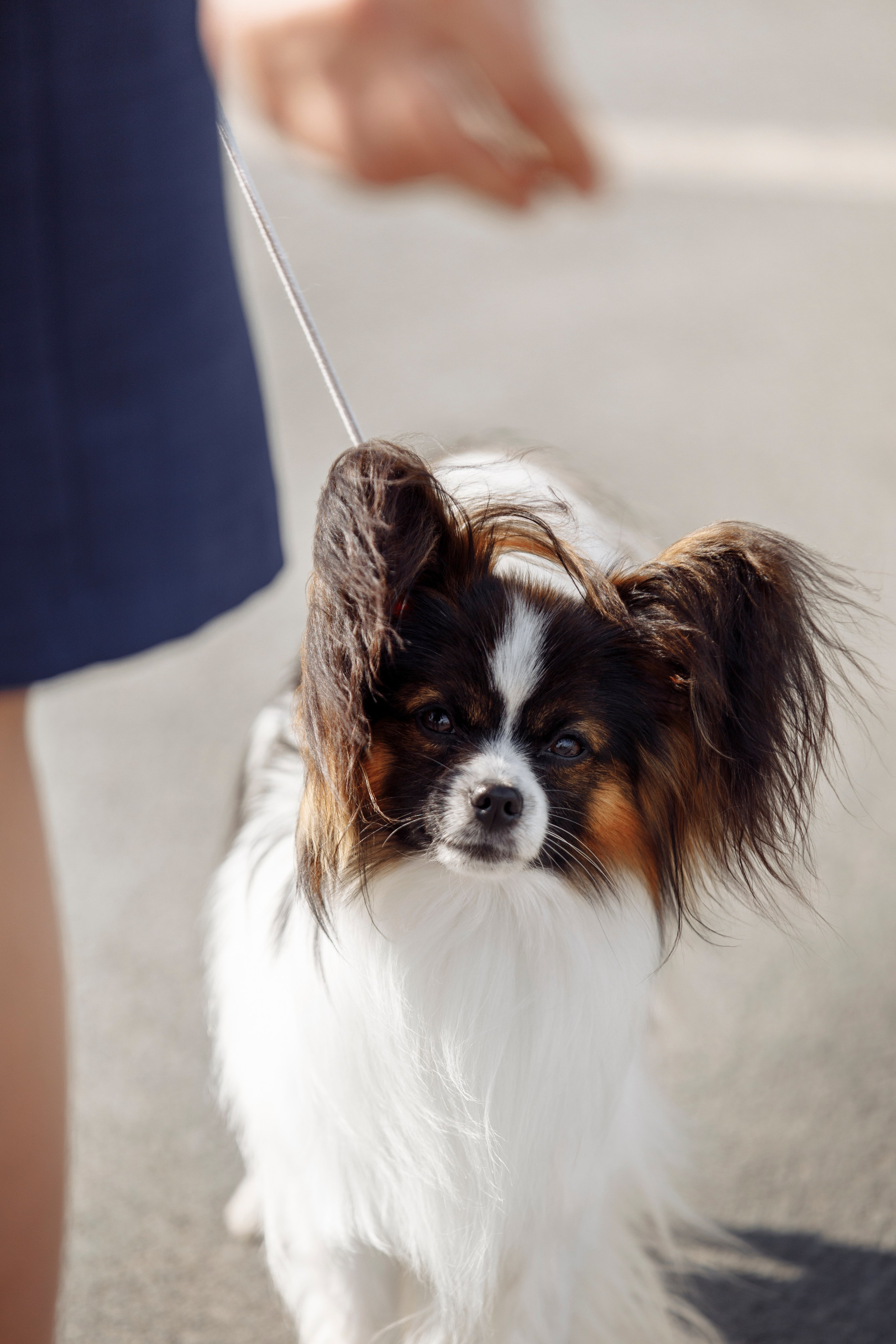 Далекий привет из Новотроицка. О нас