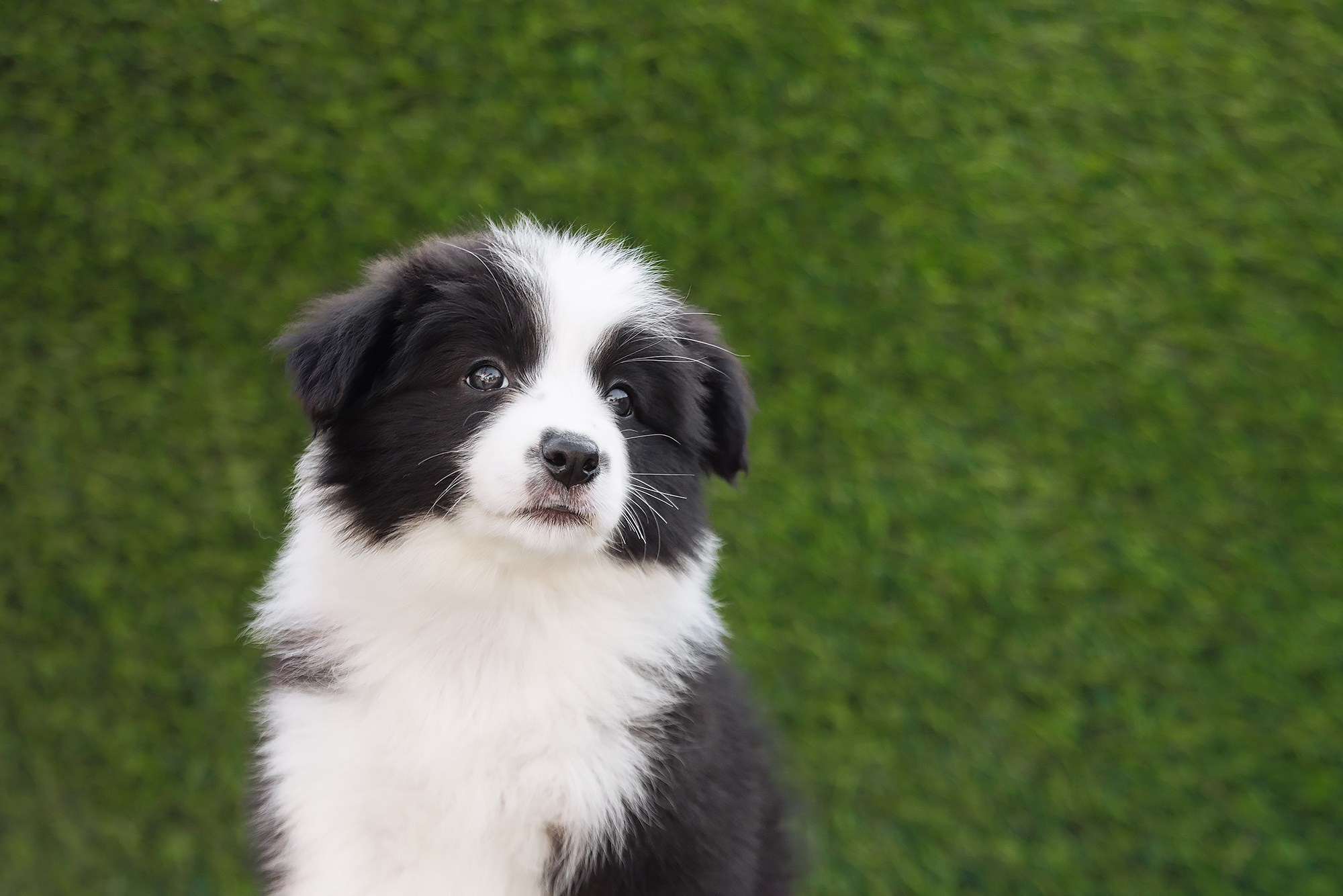 Новый лист. О нас