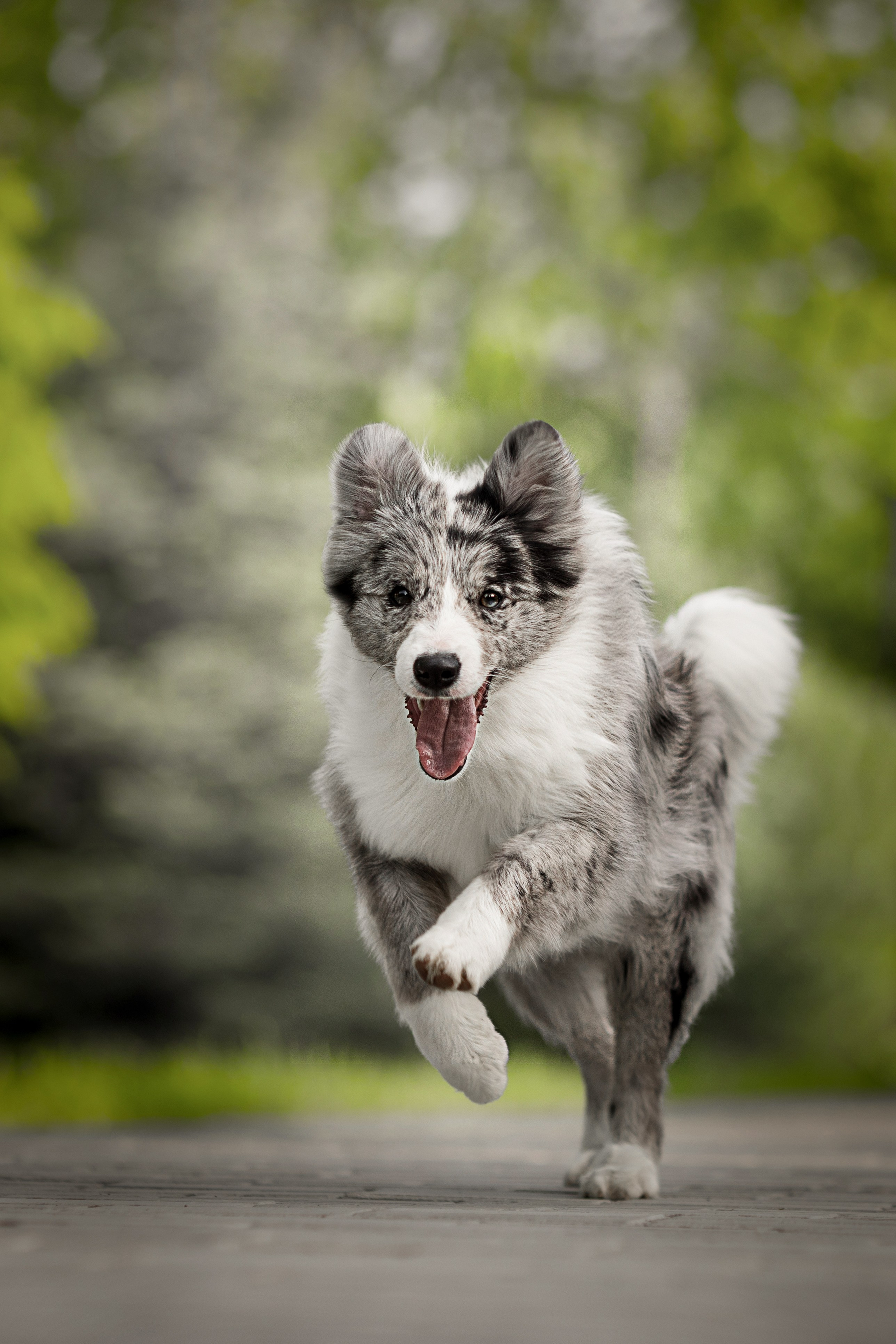 Роскошь в ростошах. О нас