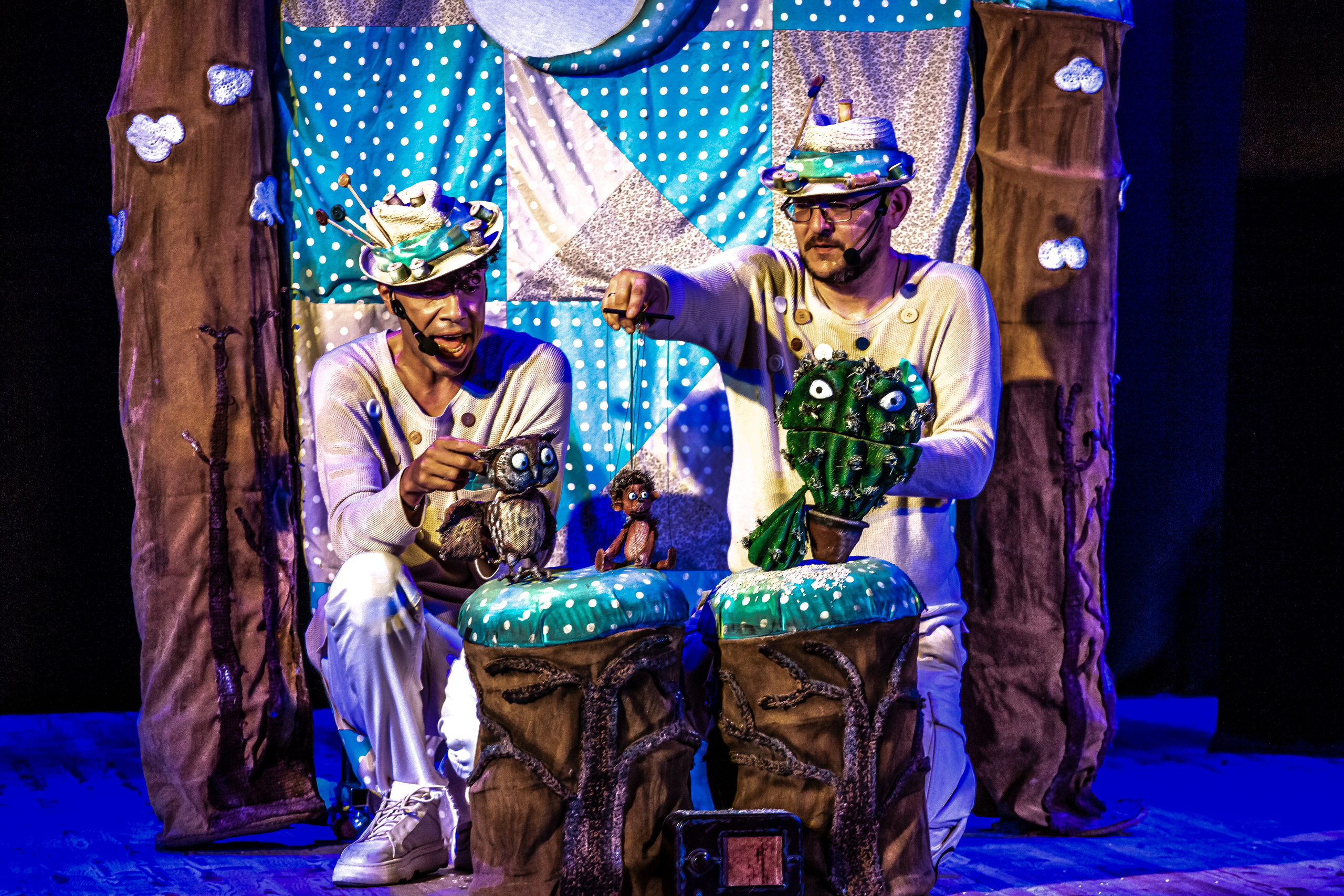 Колючая сказка. Фотограф в Сочи Юрий Шептаев