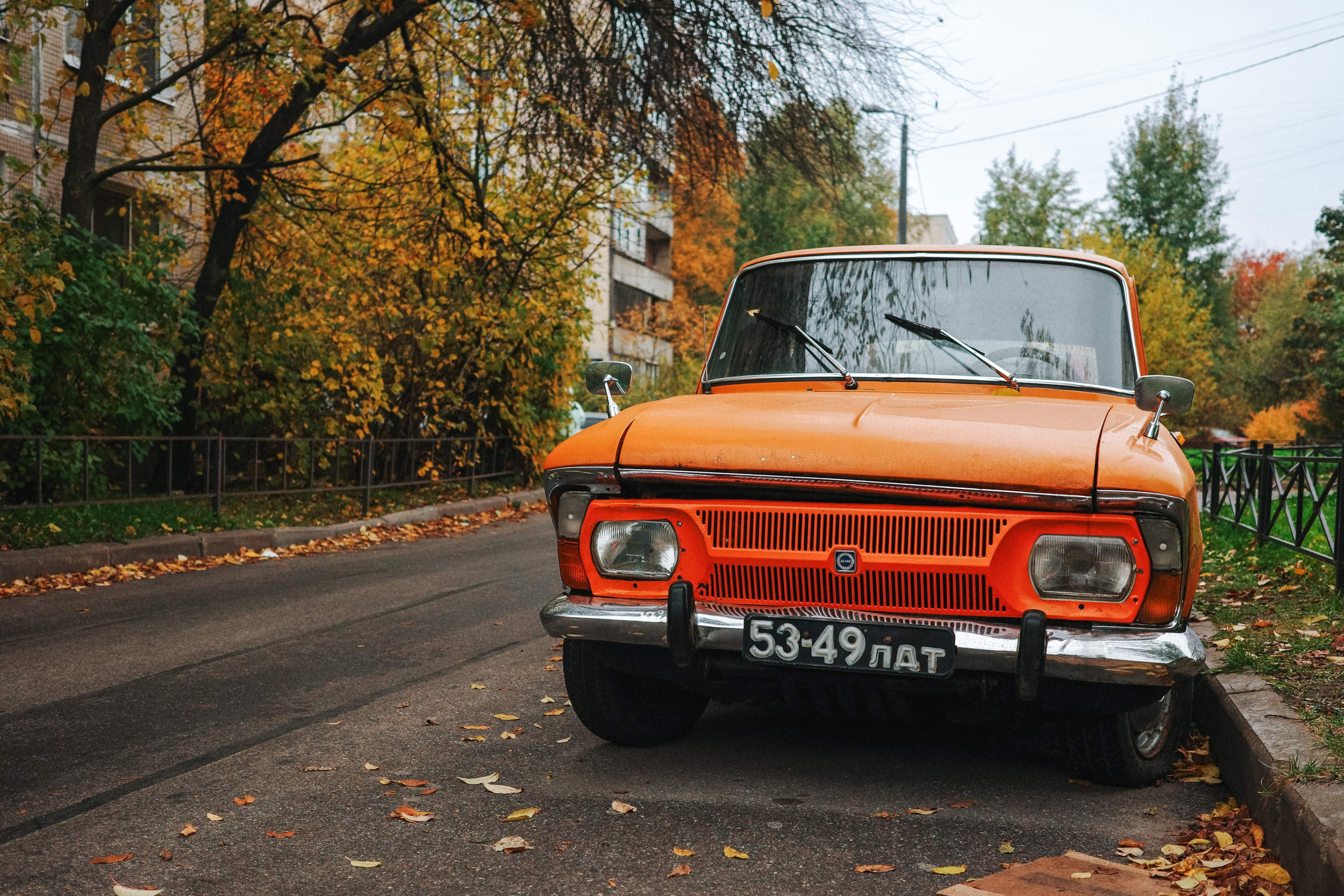 2024.10. Фотограф Алексей Алексеев