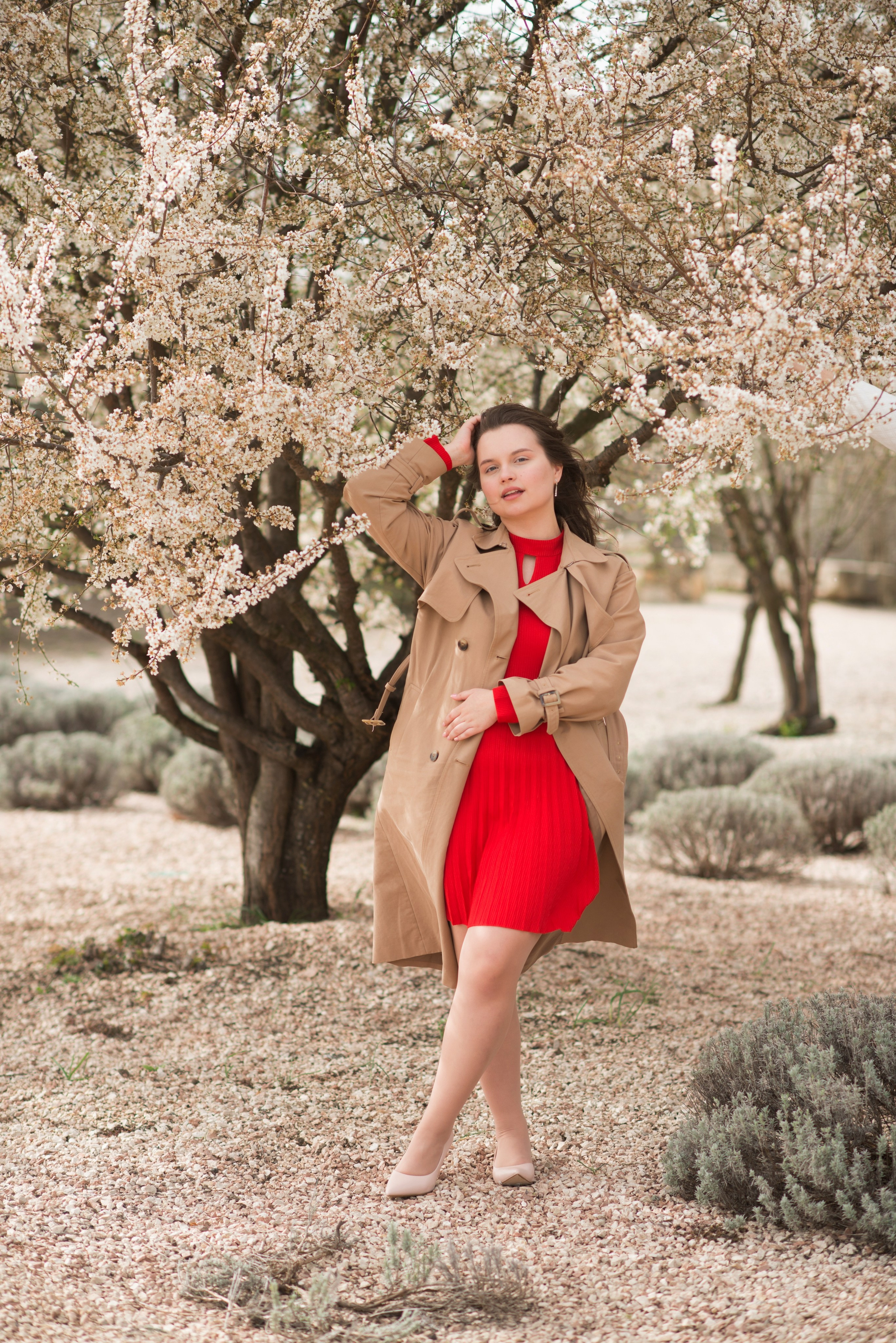 В цветущем миндале. Семейный и детский фотограф в Севастополе. Семейный фотограф в Ялте