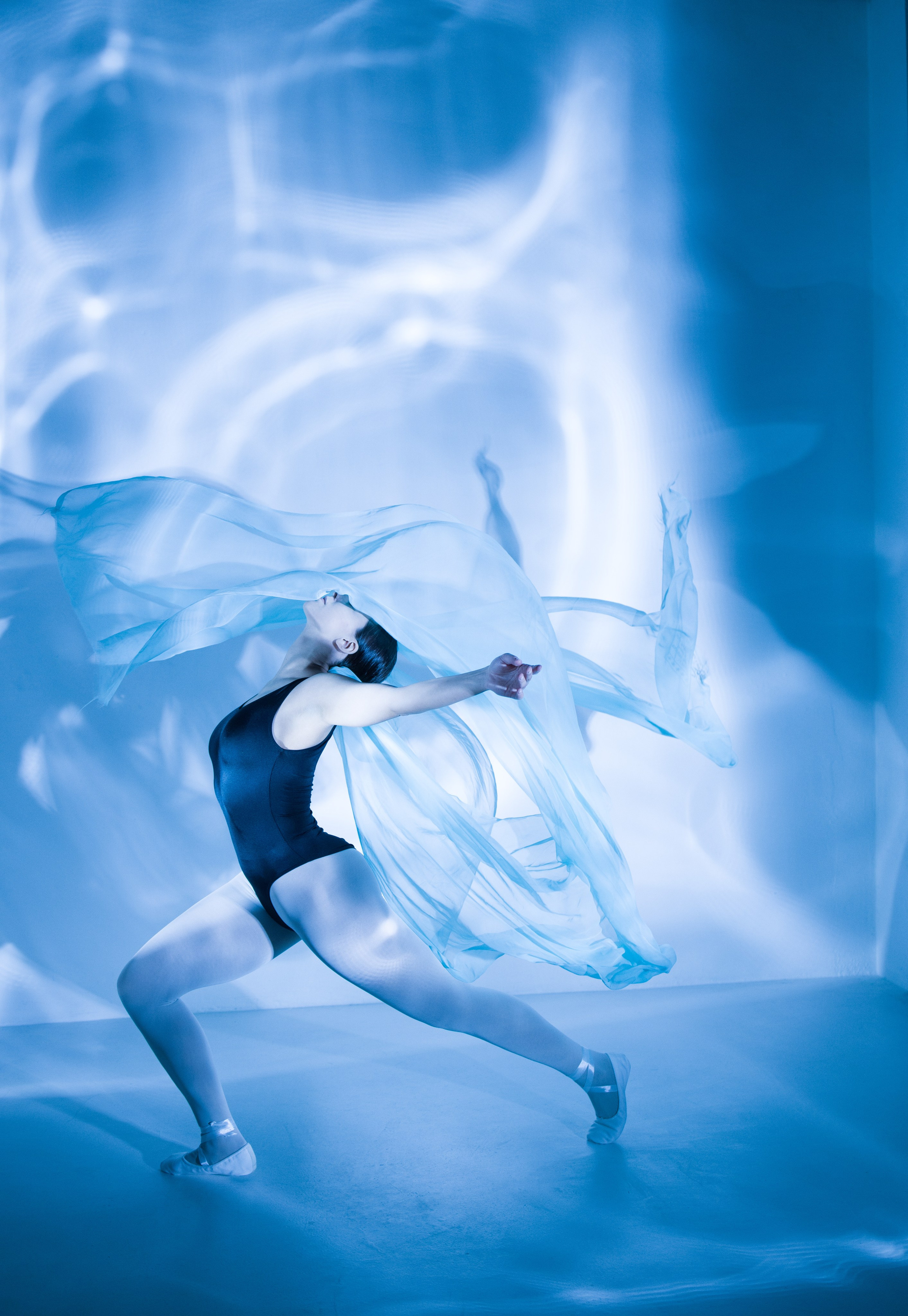 Лилия. Художественная фотография