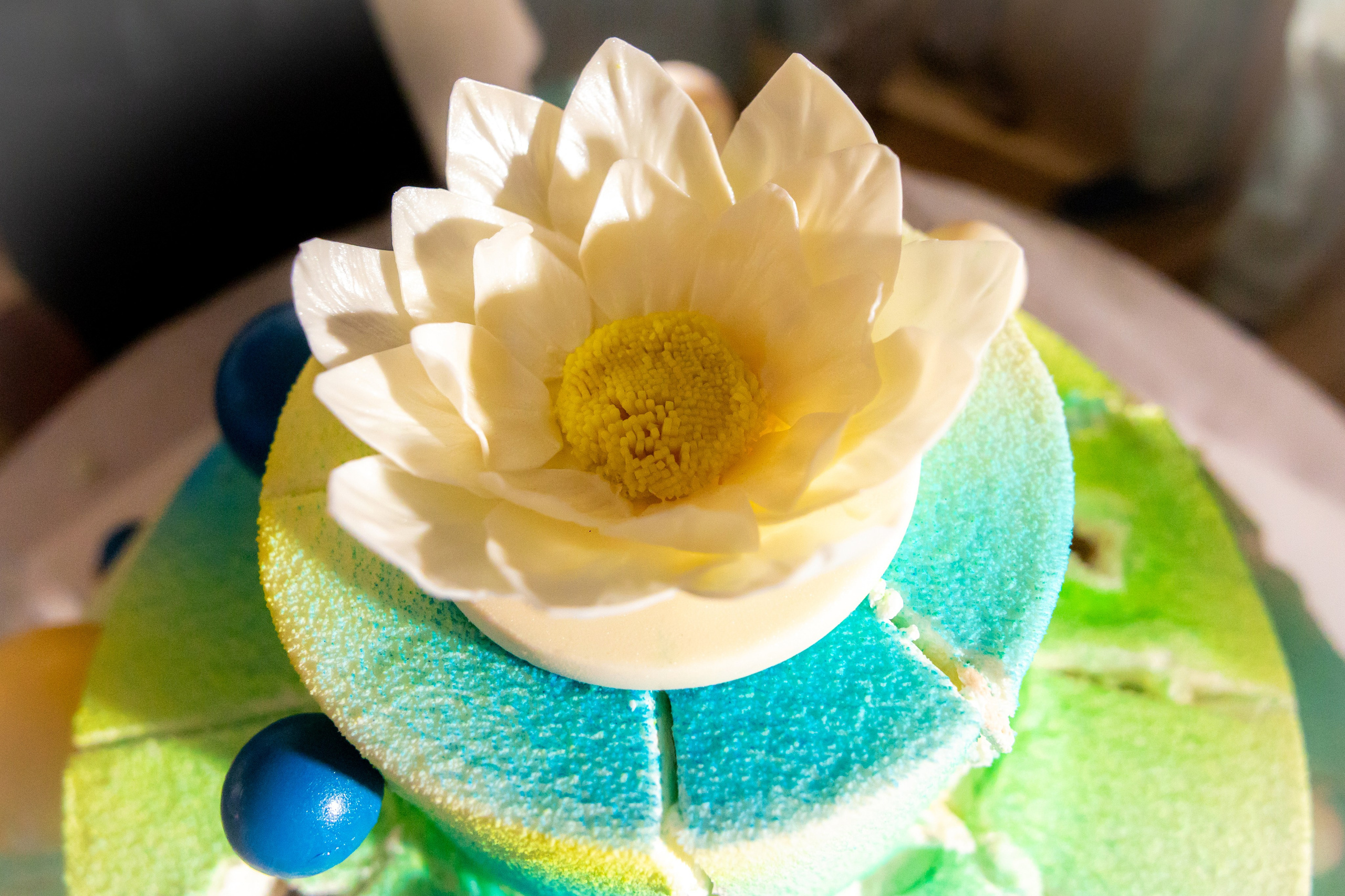 25 лет — юбилей компании Cristanual