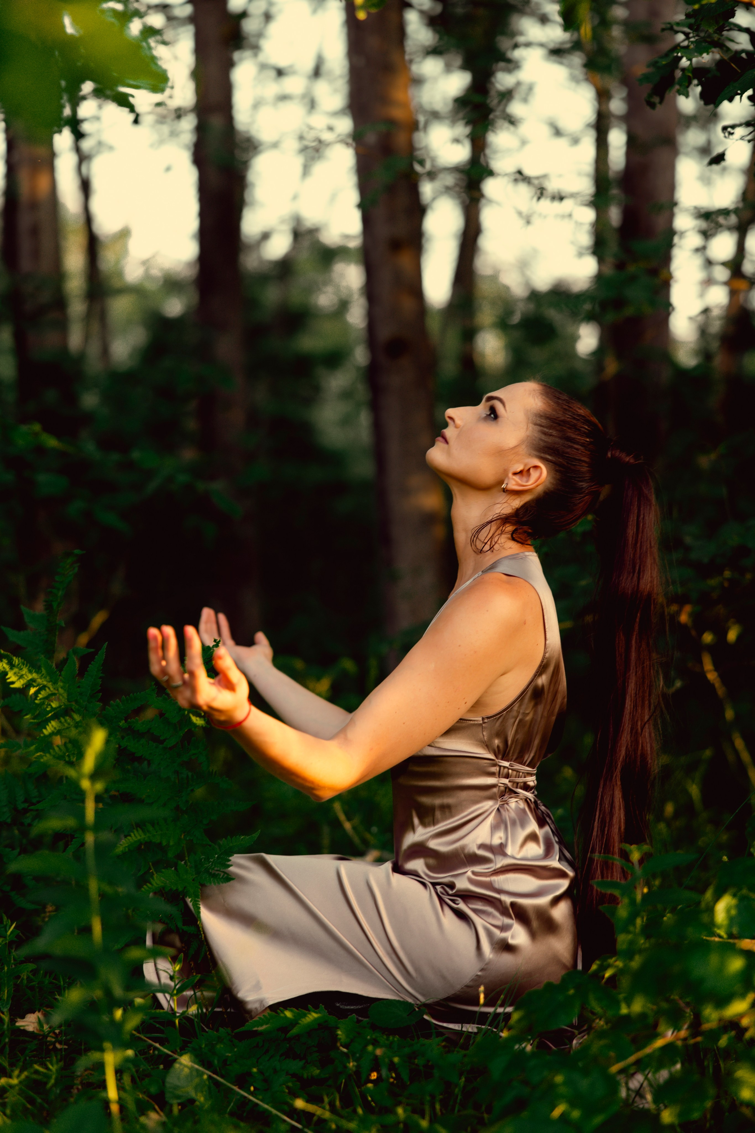 Древесные узоры. Сказочный фотограф для Вас и Вашей семьи