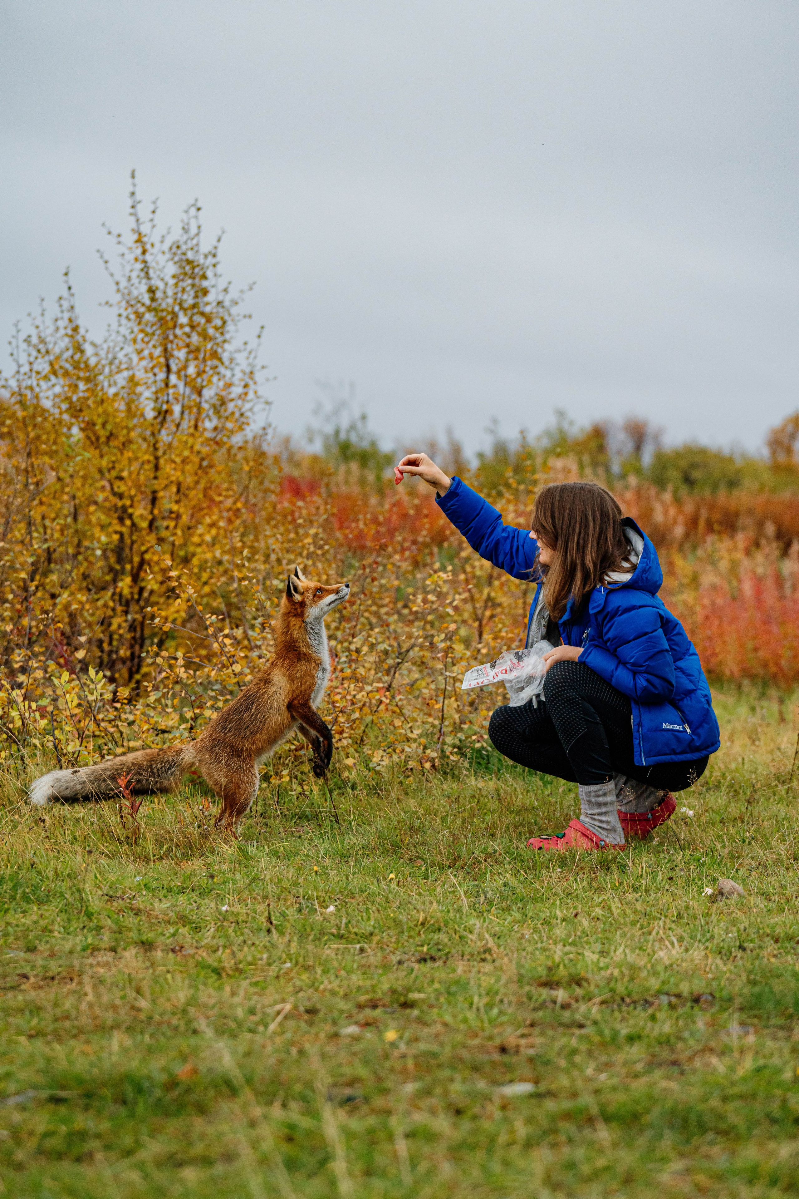 СЕВЕР. Event фотограф Степанова Александра