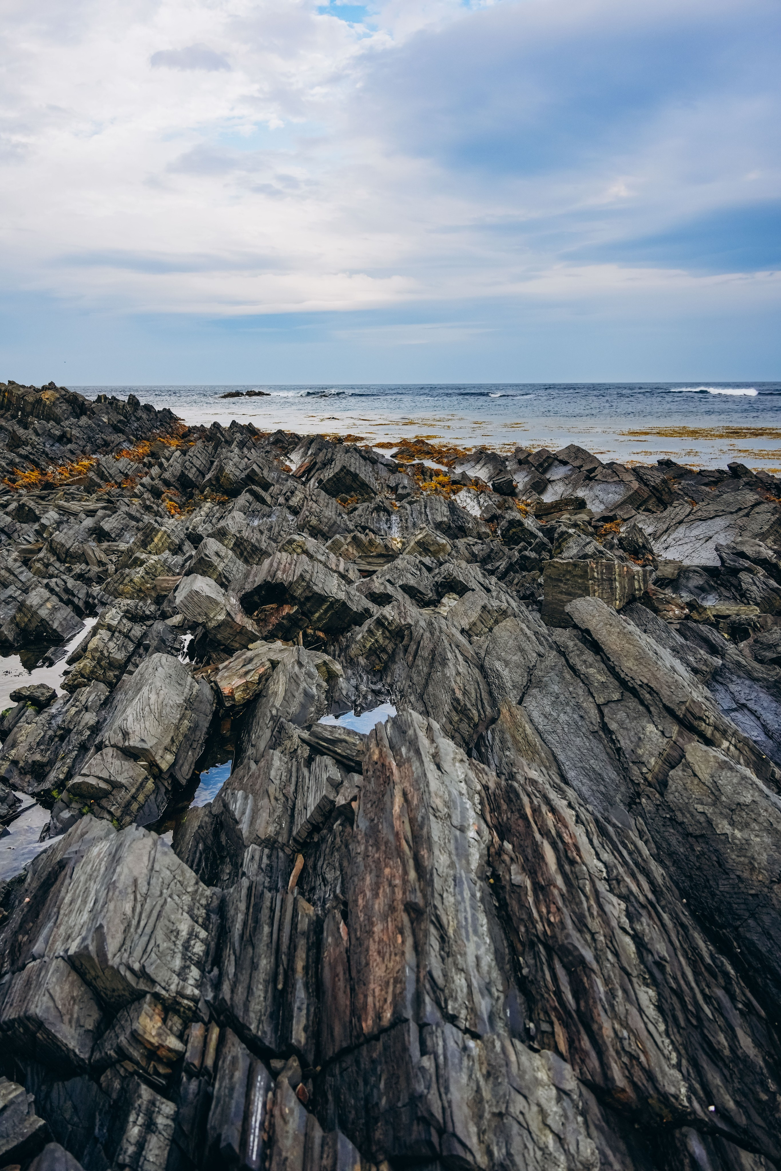 СЕВЕР. Event фотограф Степанова Александра